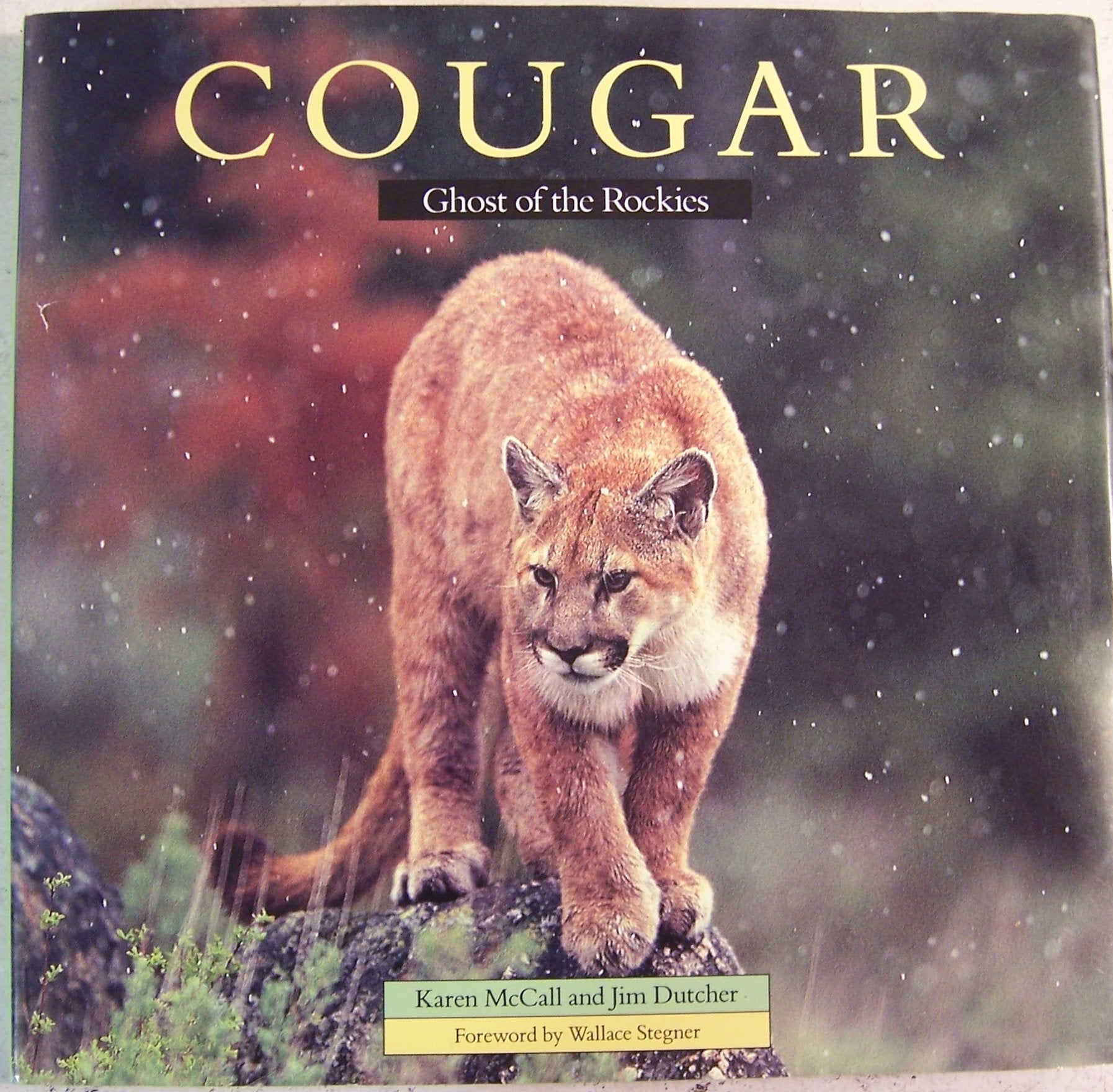 Cougar: Ghost of the Rockies Business & Technology