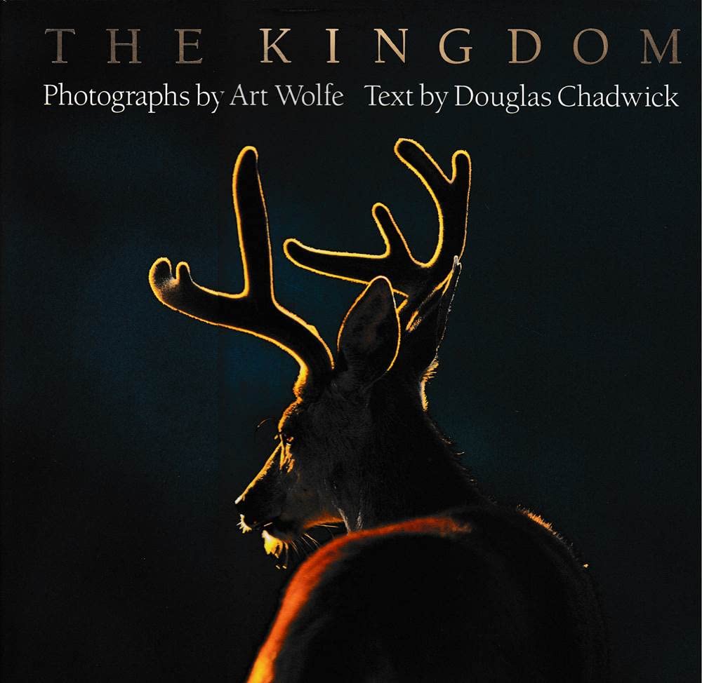 Product Image: SCH-KINGDOM
