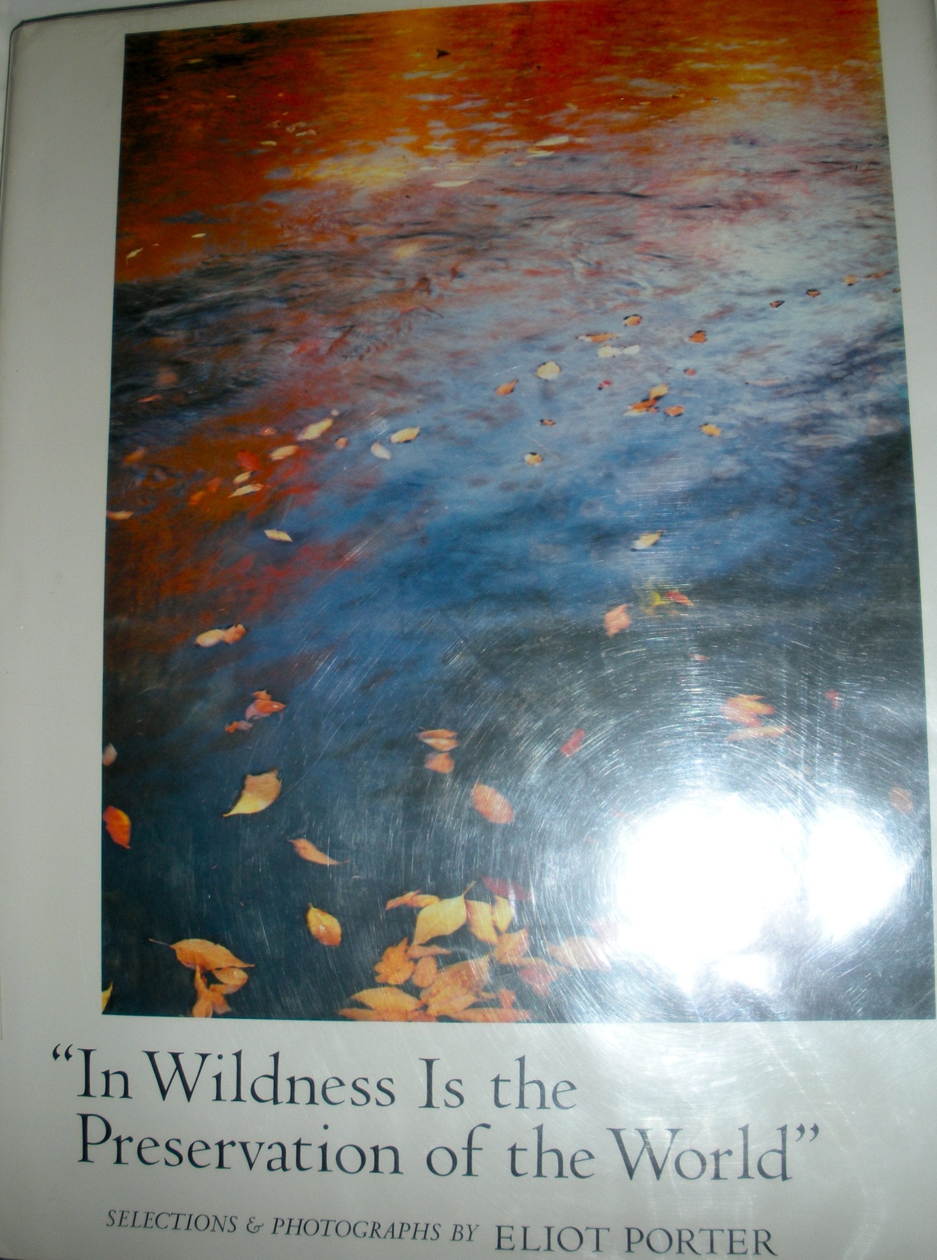 In Wildness Is the Preservation of the World: From Henry David Thoreau Mathematics