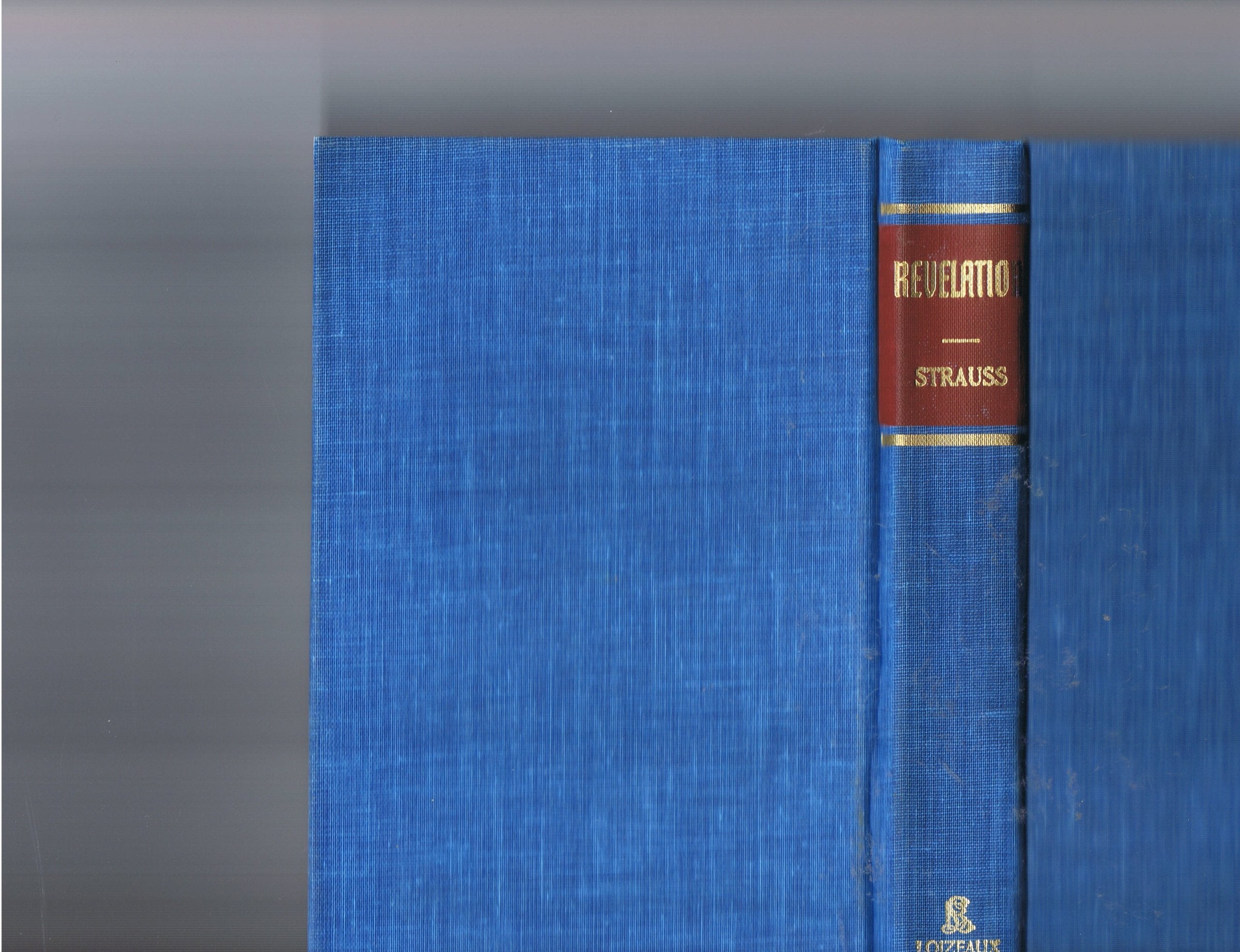 Book of the Revelation Religion & Esotericism