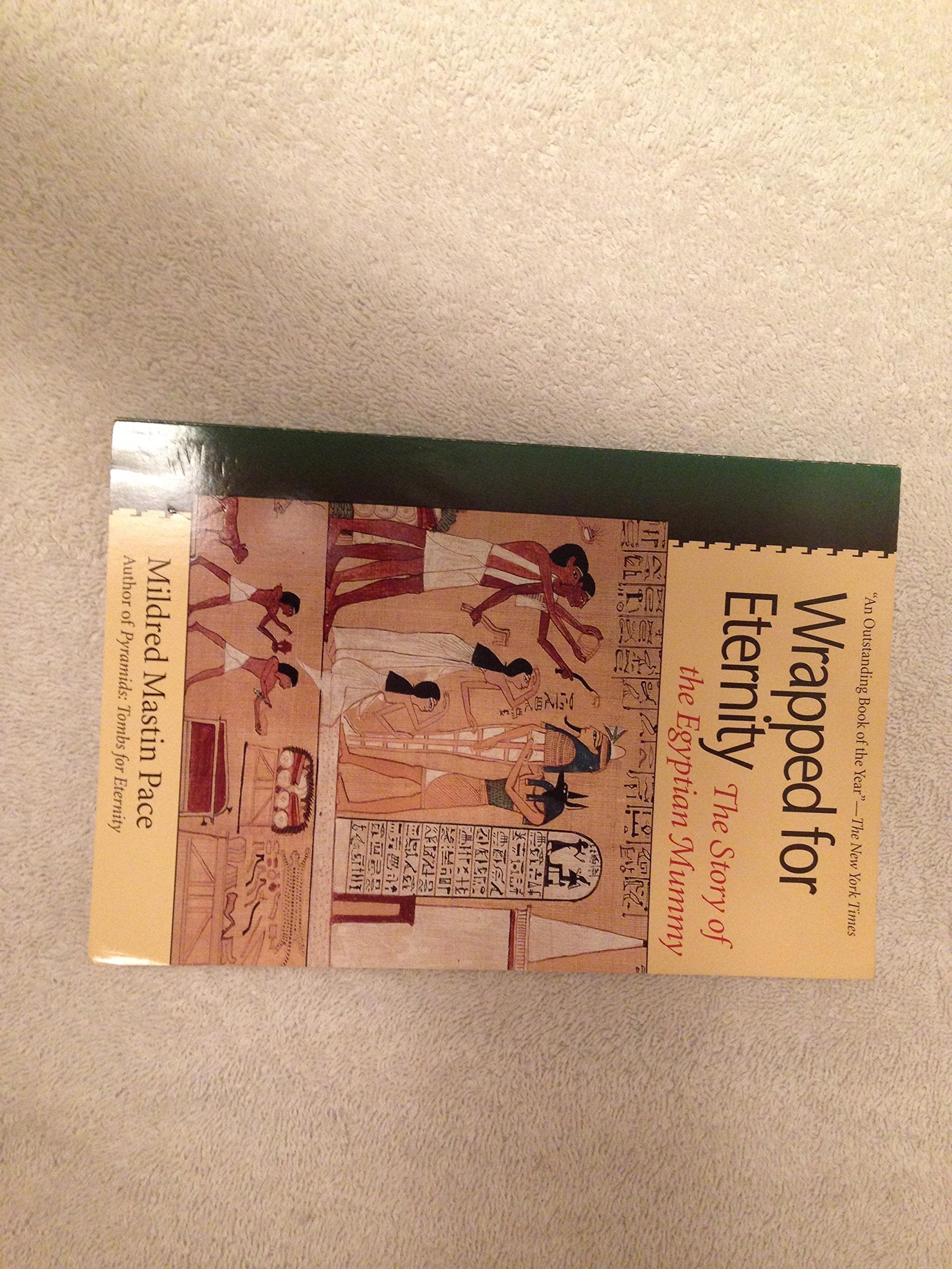 Wrapped for Eternity: The Story of the Egyptian Mummy Books
