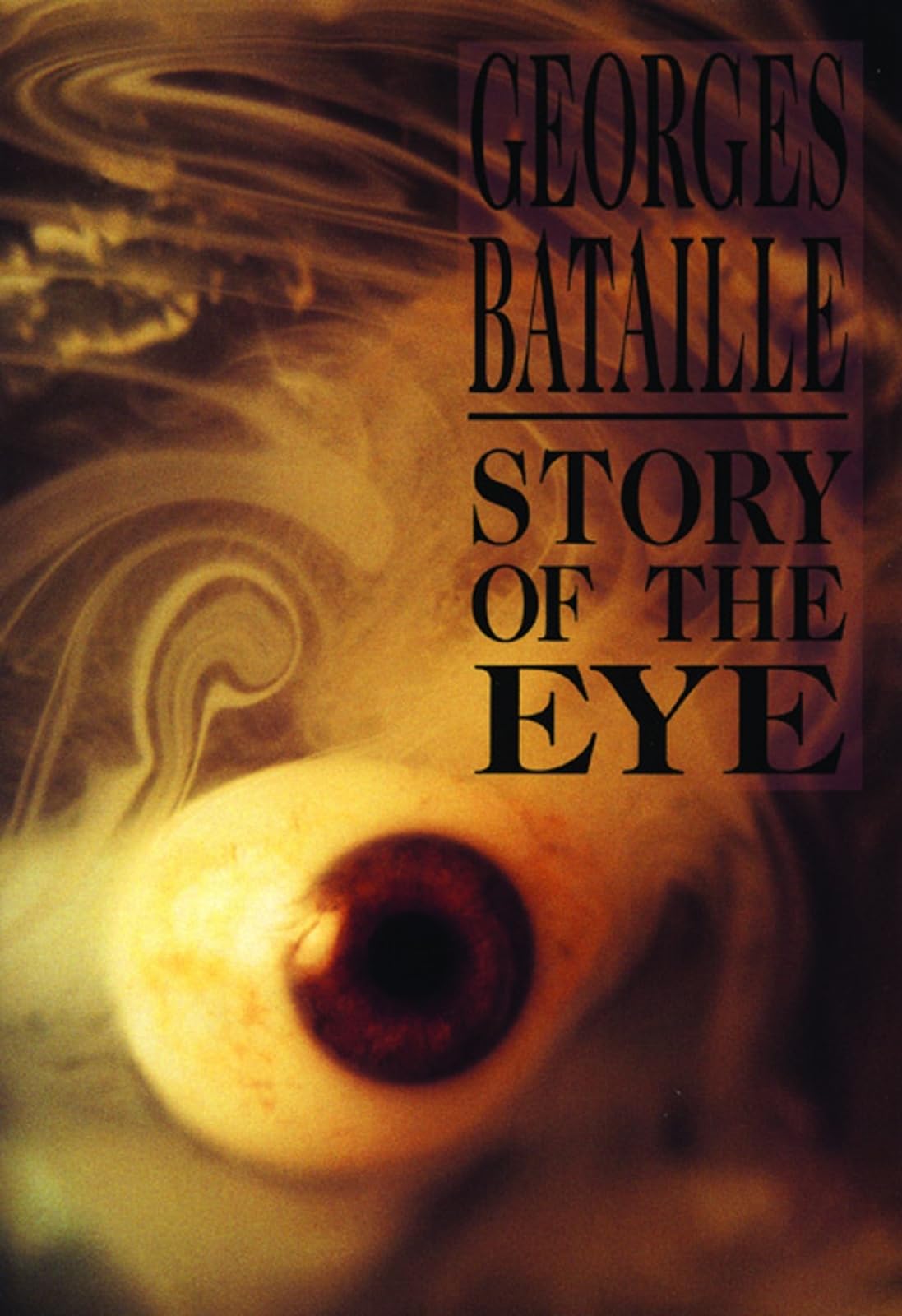 Story of the Eye Contemporary literature