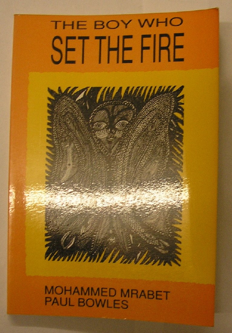 The Boy Who Set the Fire and Other Stories book