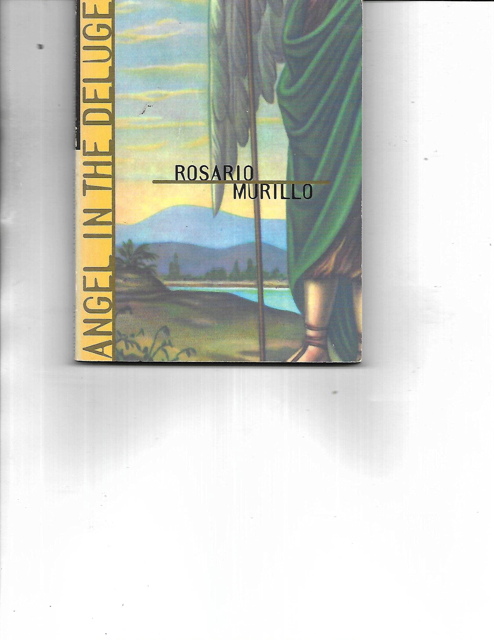 Angel in the Deluge (Pocket Poets Series) Poetry