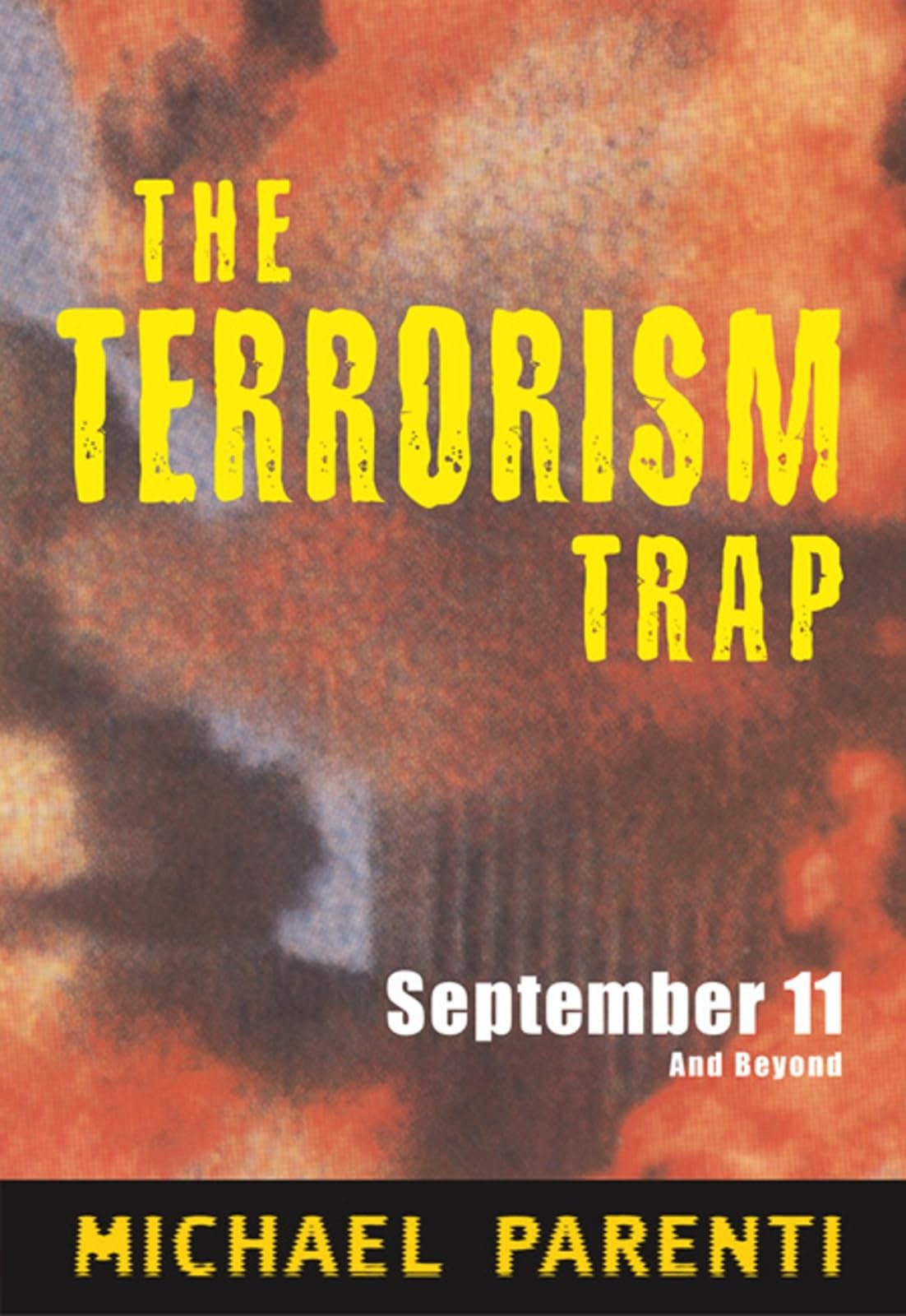 Terrorism Trap: September 11 and Beyond General education Books