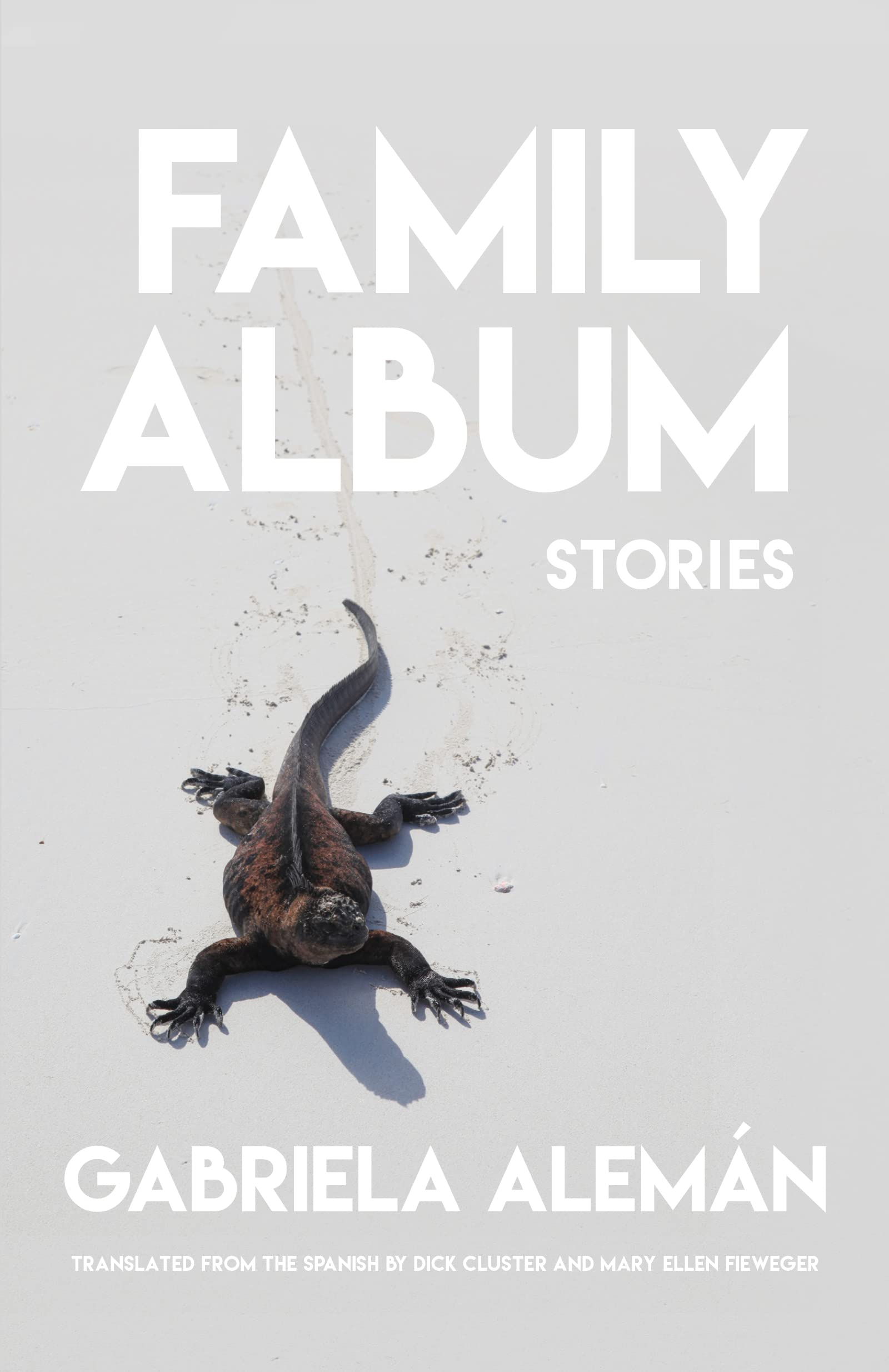 Family Album: Stories Essays & Short Stories