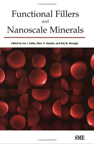 Functional Fillers and Nanoscale Minerals Business & Technology