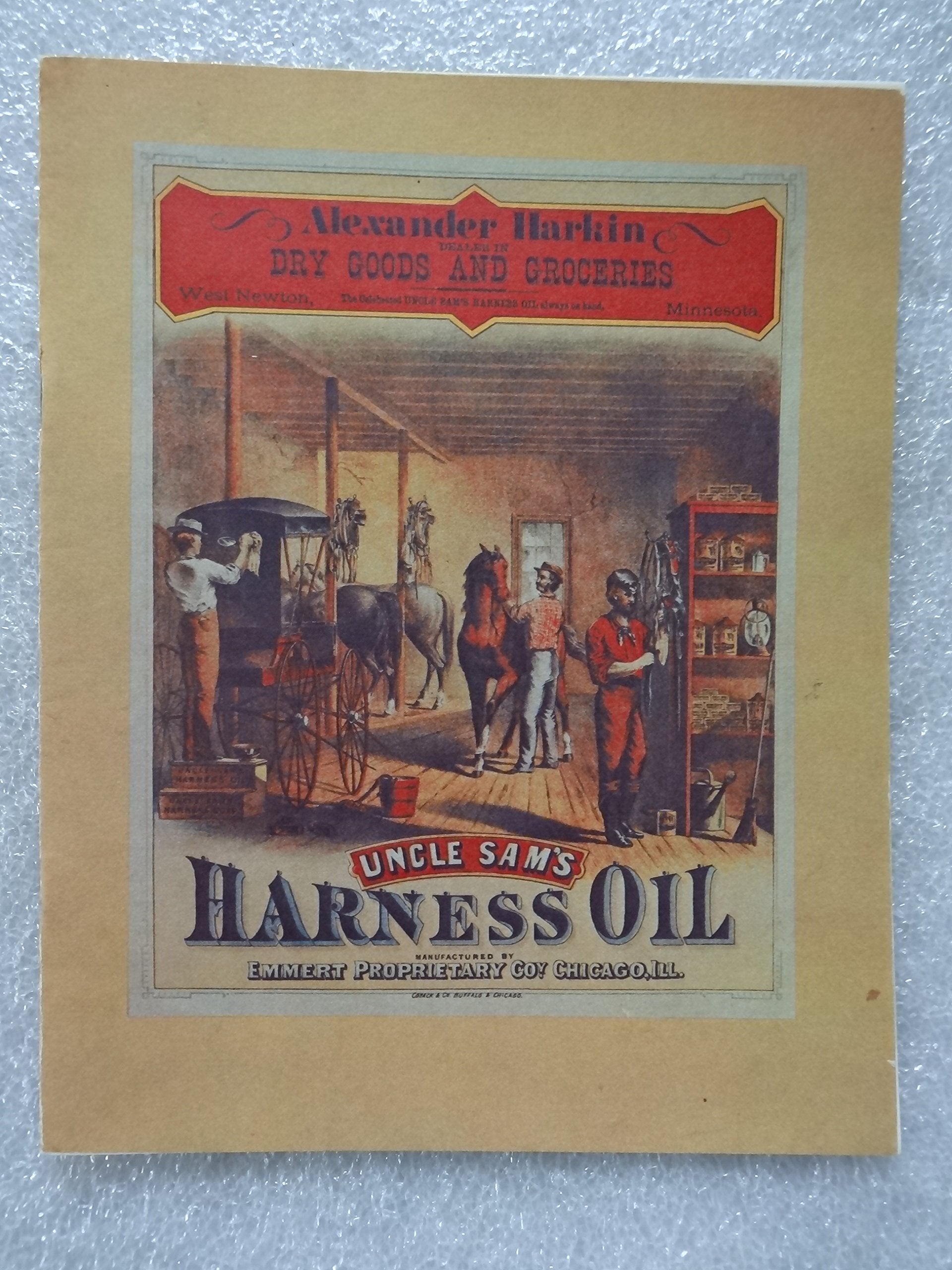 Alexander Harkin, Dealer in Dry Goods and Groceries Politics & History