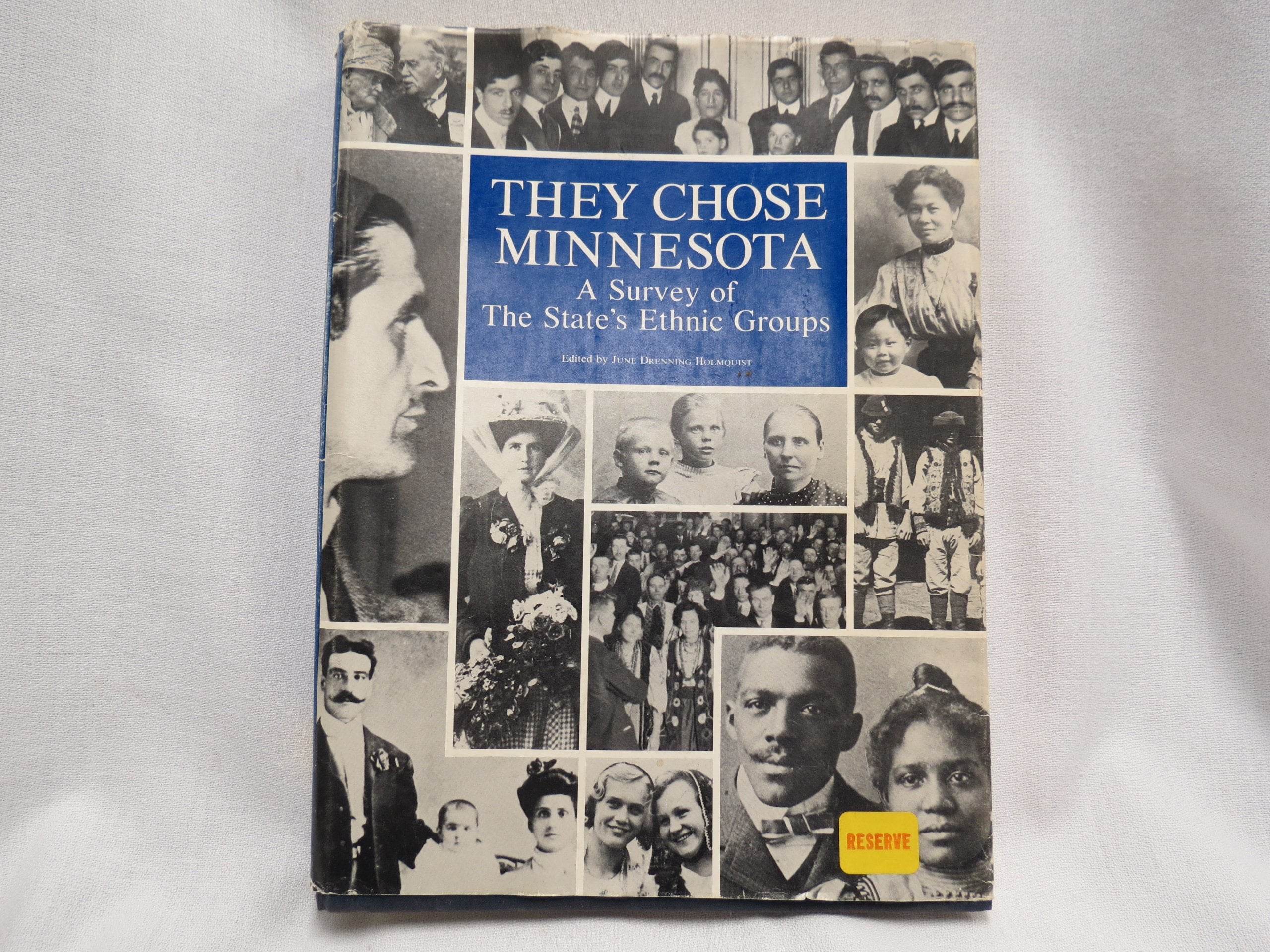 They Chose Minnesota: A Survey of the State's Ethnic Groups Politics & History
