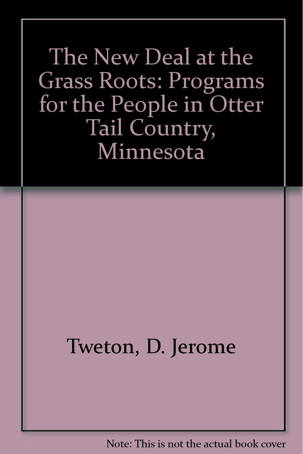 The New Deal at the Grass Roots: Programs for the People in Otter Tail County, Minnesota Politics & History