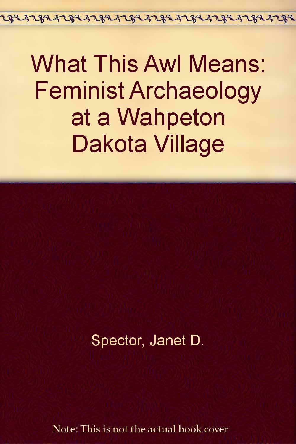 What This Awl Means: Feminist Archaeology at a Wahpeton Dakota Village Social Sciences