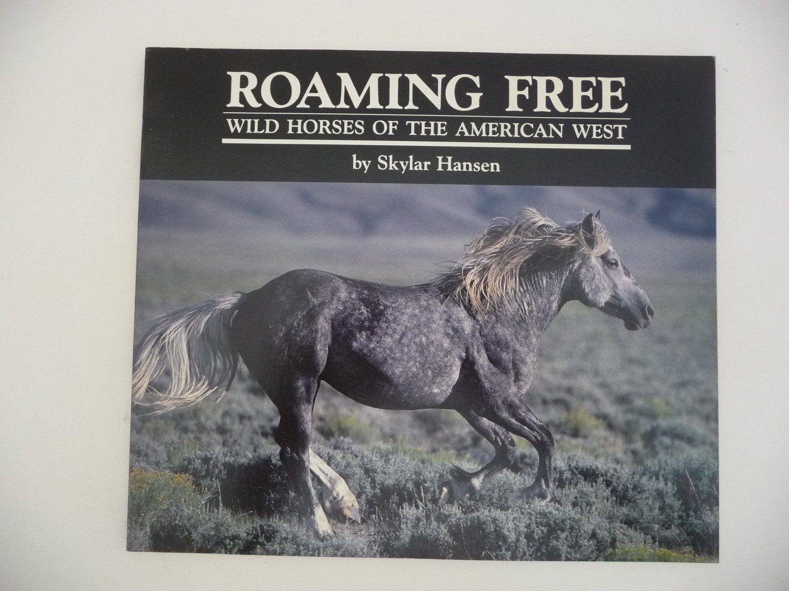 Roaming Free: Wild Horses of the American West Books