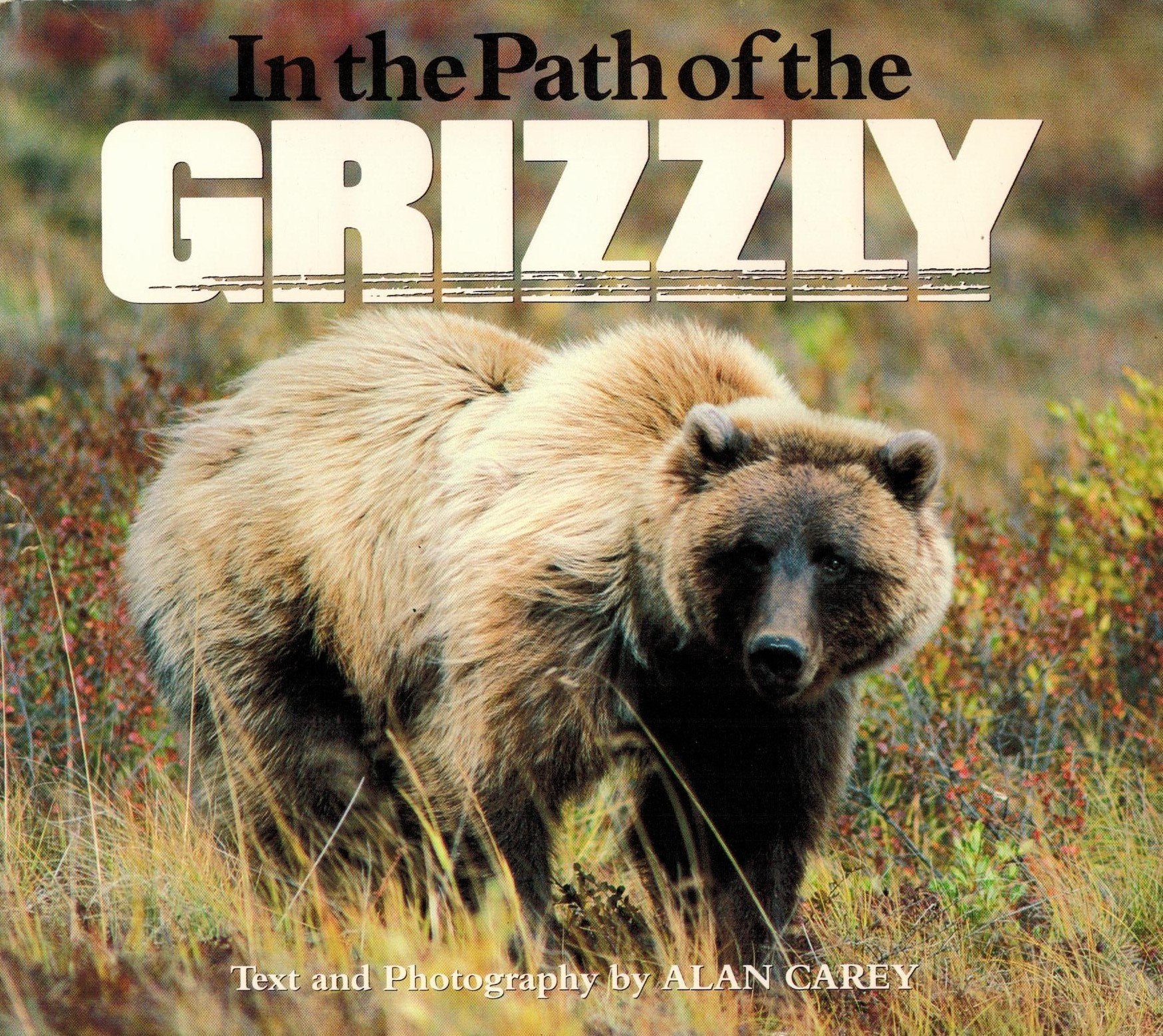 In the Path of the Grizzly (Western Horizons) Mathematics