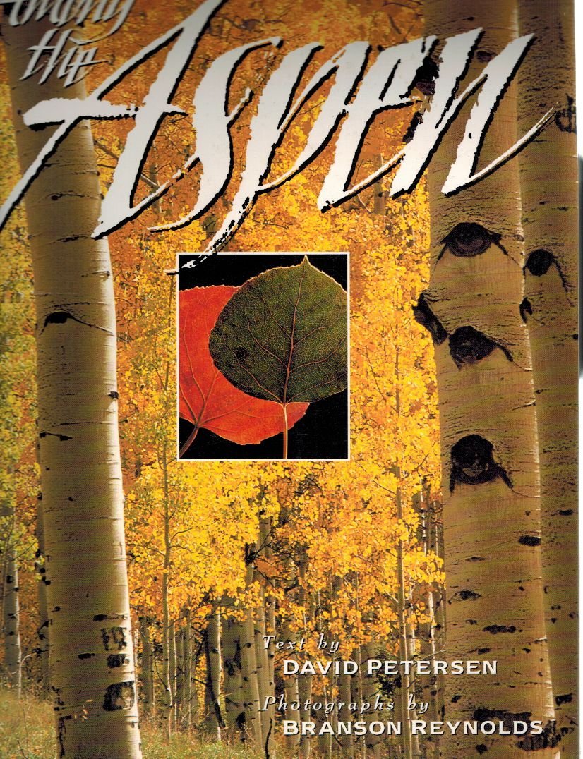 Among the Aspen: Life in an Aspen Grove Mathematics