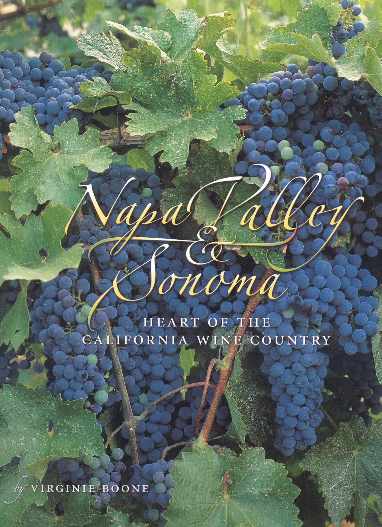 Napa Valley & Sonoma: Heart of California Wine Country: Heart of the California Wine Country Leisure, Home & Garden