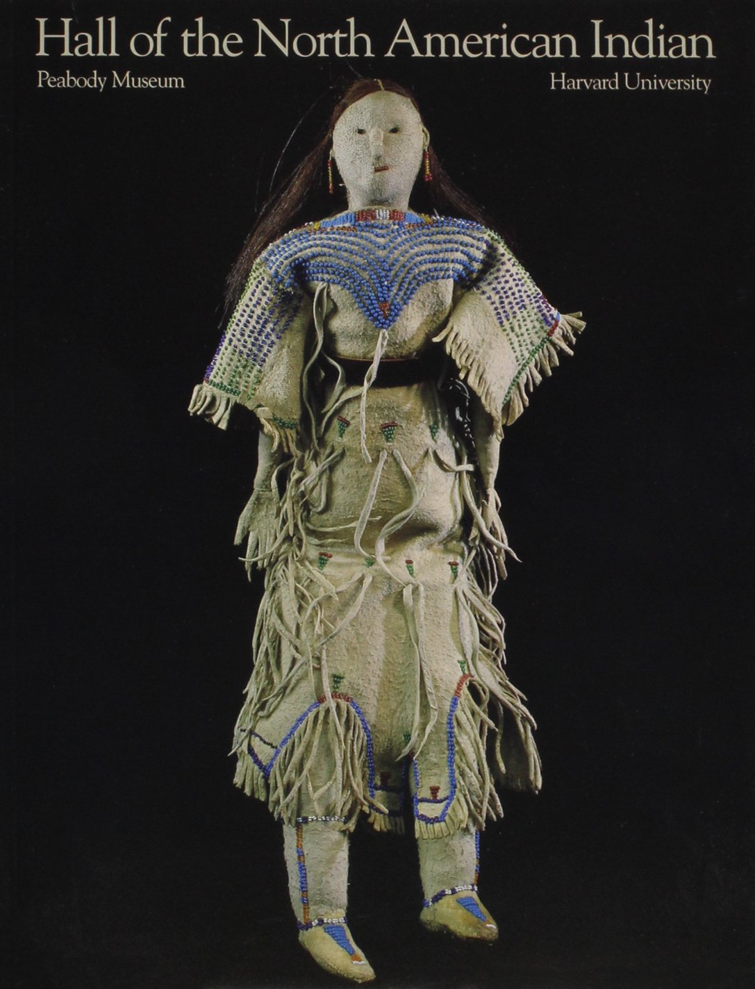 The Hall of the North American Indian: Change and Continuity Books