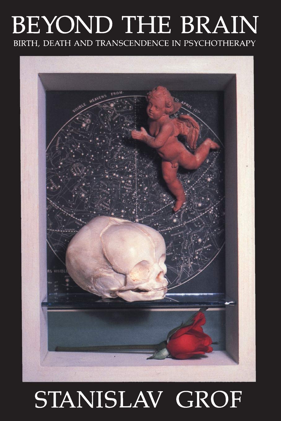 Beyond the Brain: Birth, Death, and Transcendence in Psychotherapy Psychology