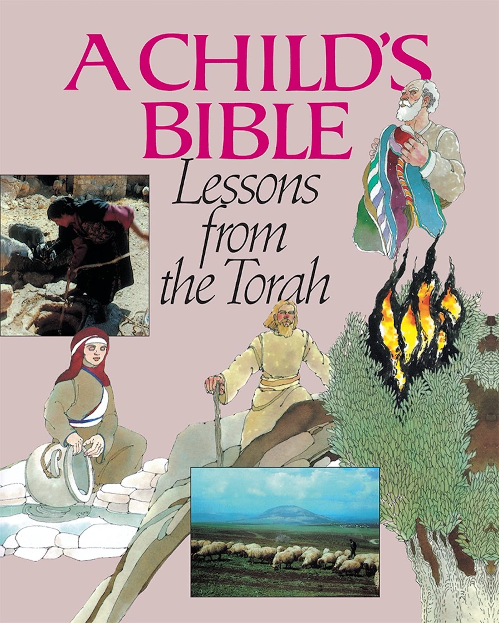 Child's Bible 1: Lessons from the Torah Social Sciences