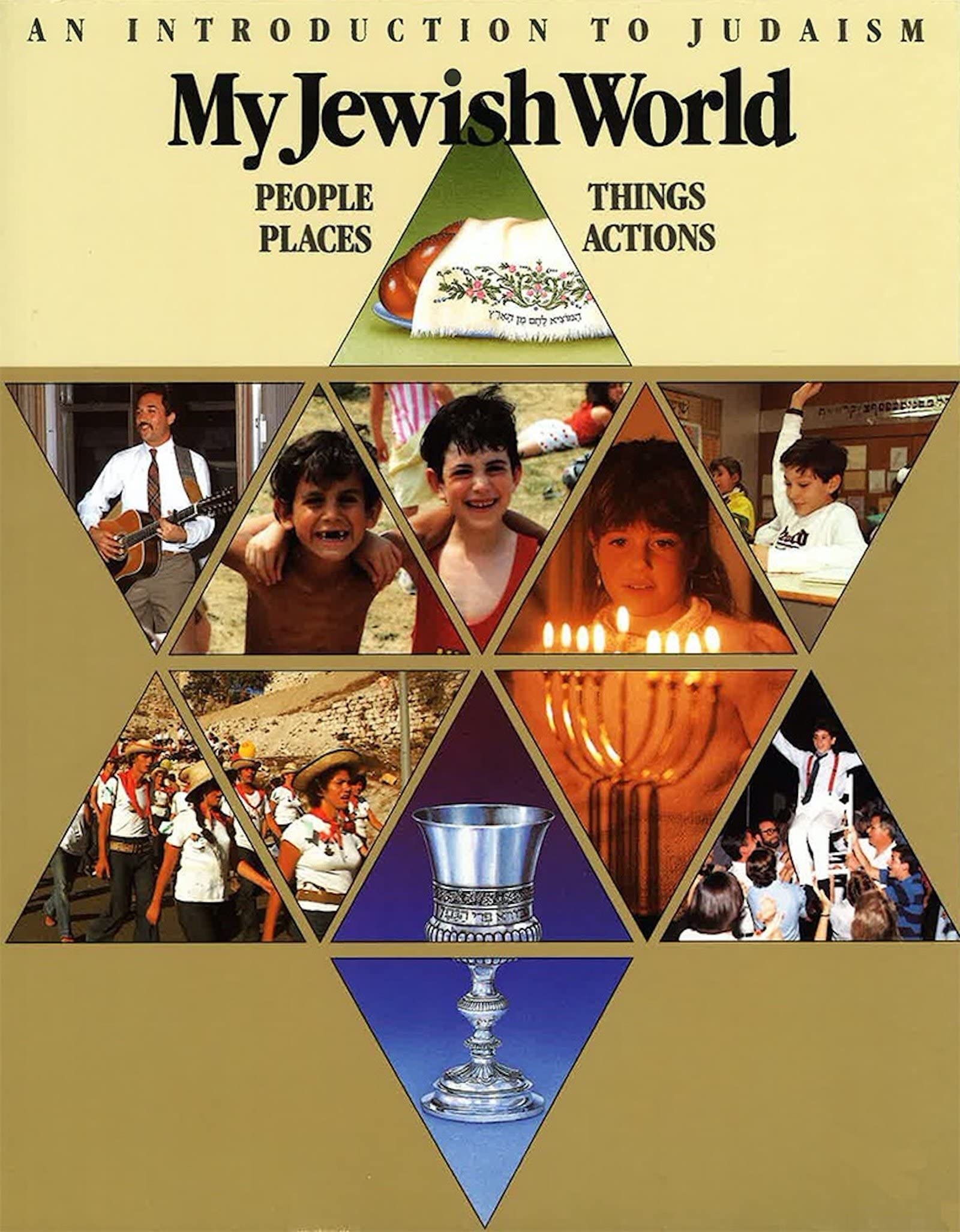 My Jewish World: People Places Things Actions book