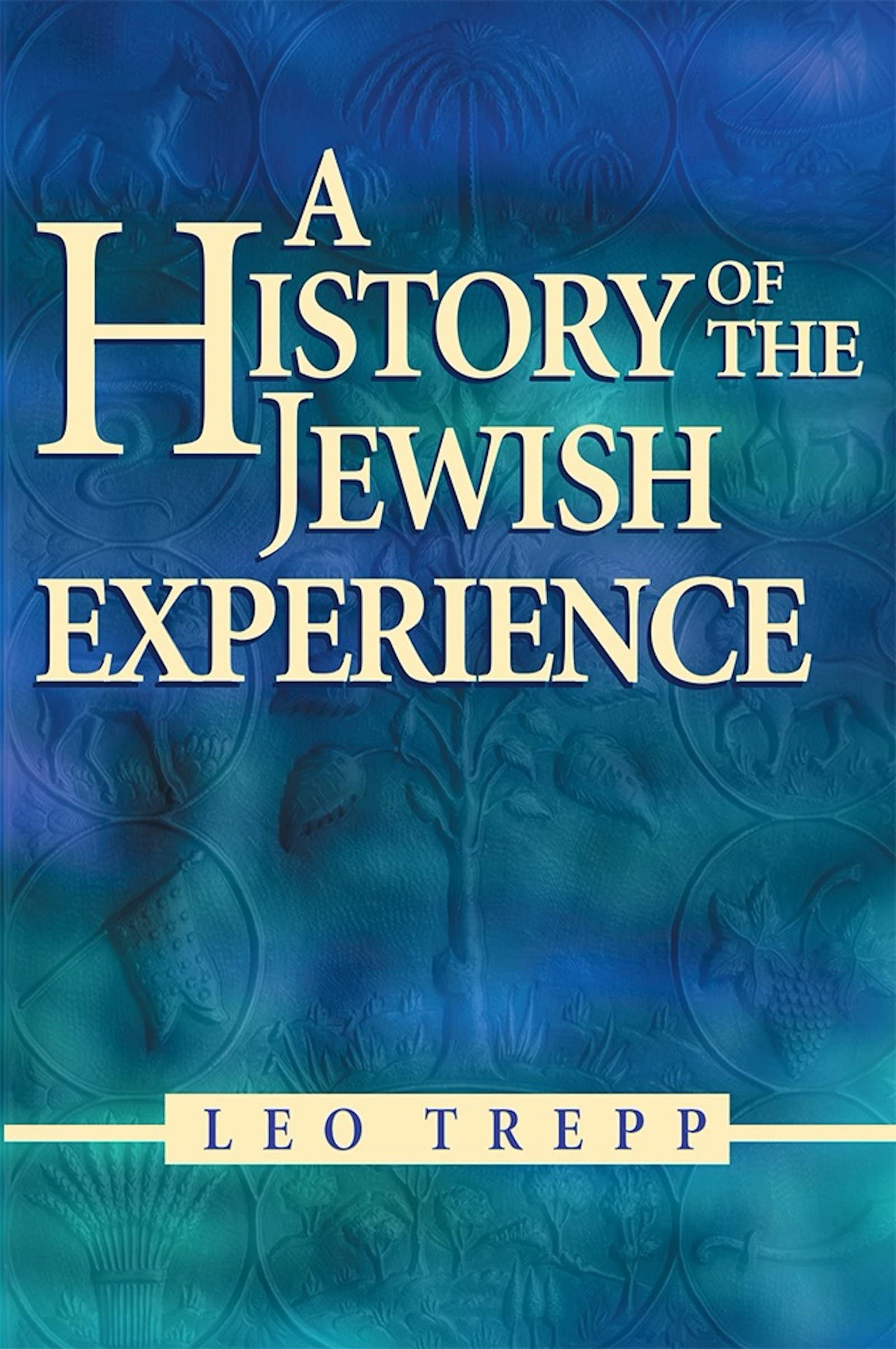A History of the Jewish Experience 2nd Edition book