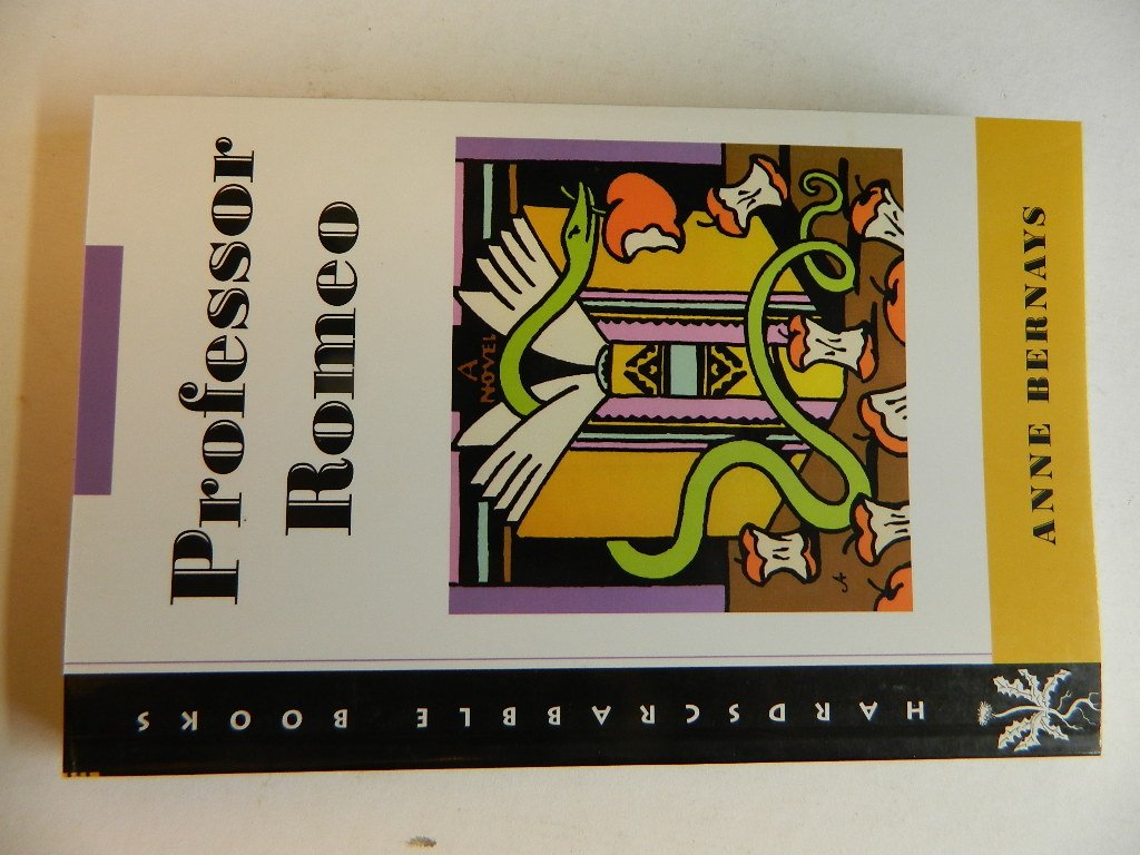 Professor Romeo: Anne Bernays (Hardscrabble Books) Contemporary literature