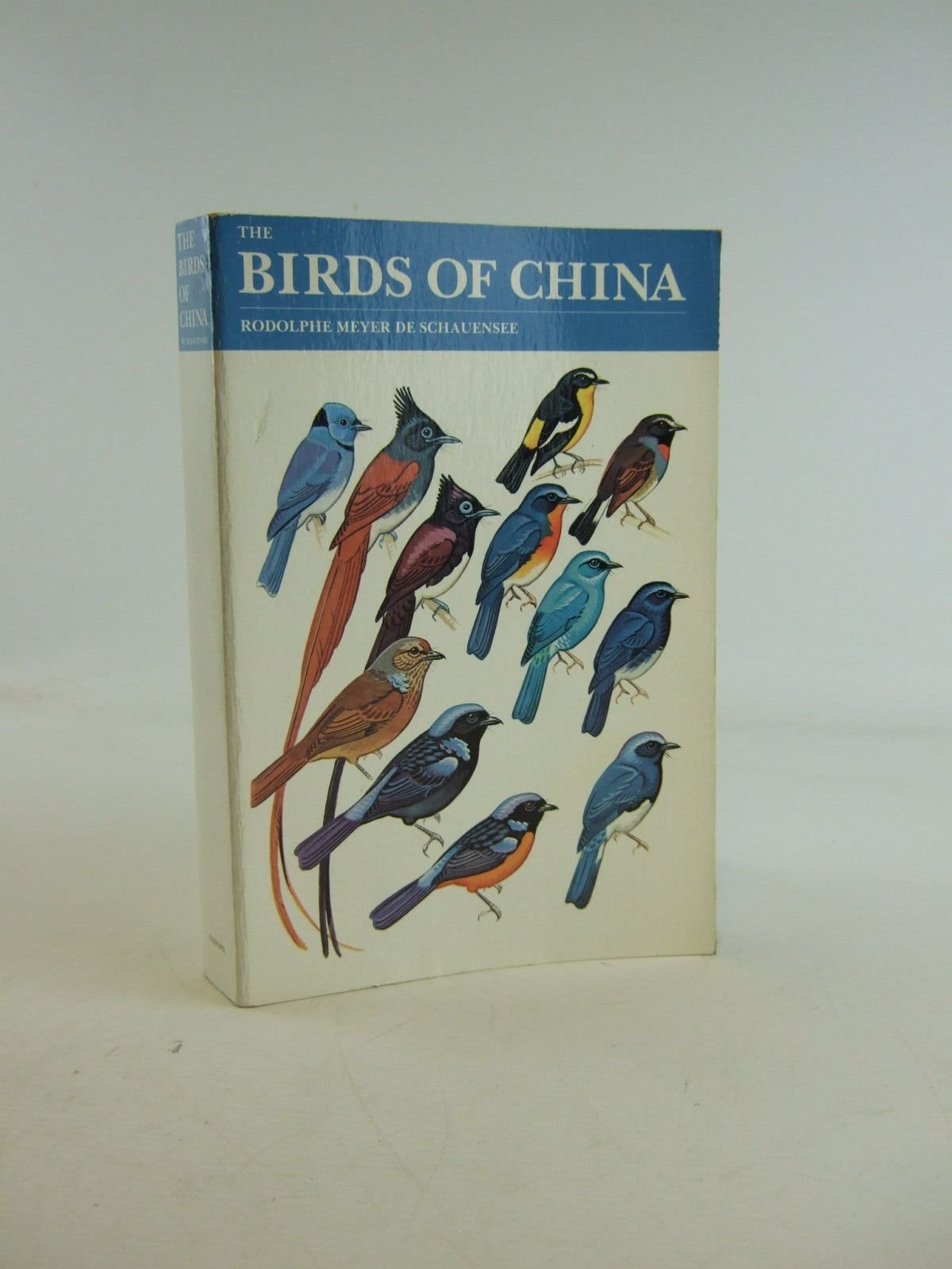 The Birds of China Business & Technology