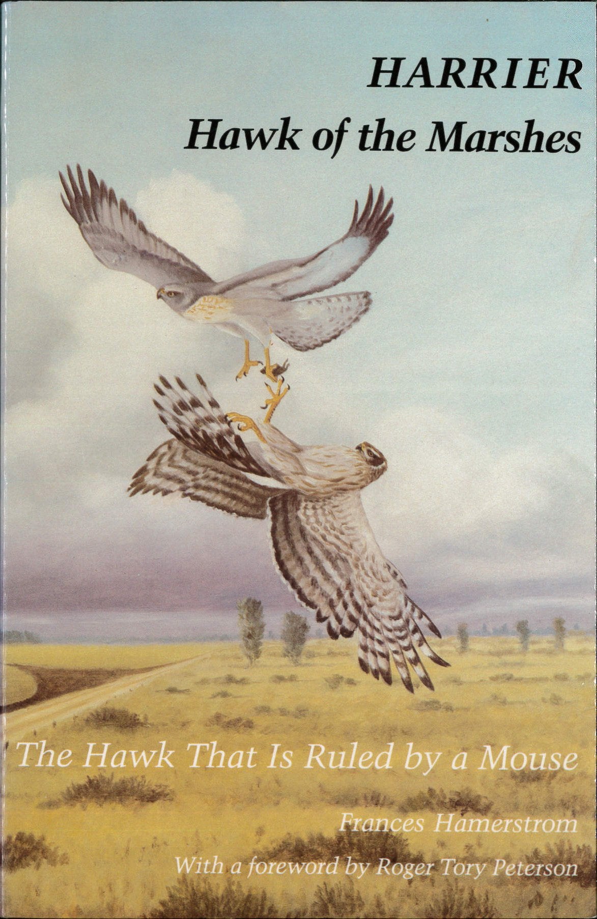 Harrier, Hawk of the Marshes: The Hawk That Is Ruled by a Mouse (Smithsonian Nature Series No 6) Mathematics