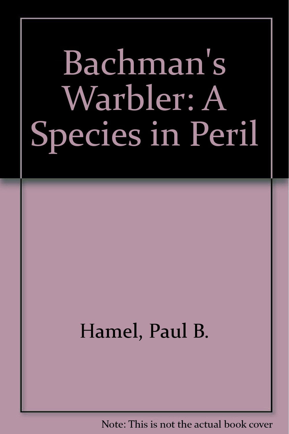 Bachman's Warbler: A Species in Peril Business & Technology