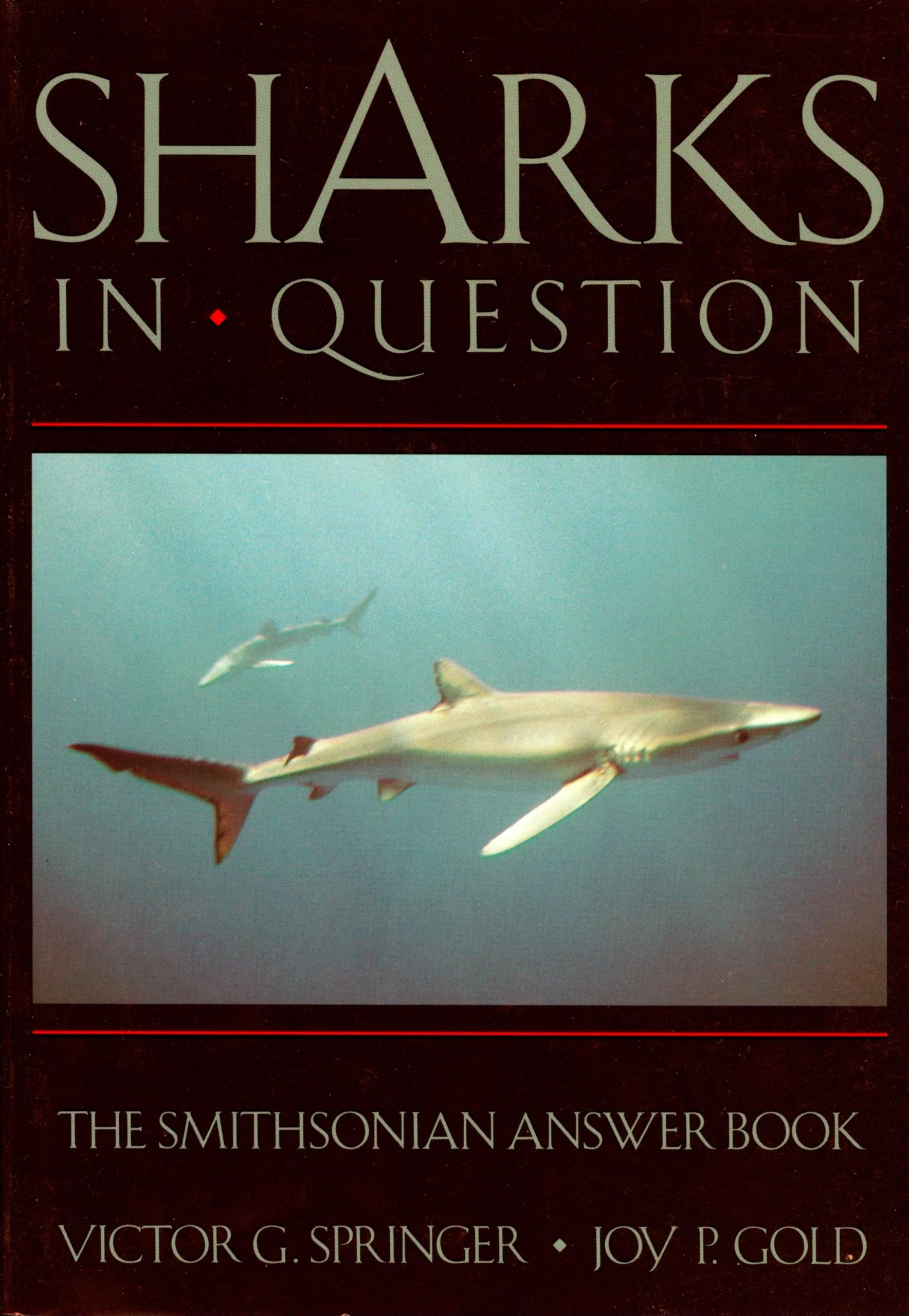 Product Image: Sharks in Question