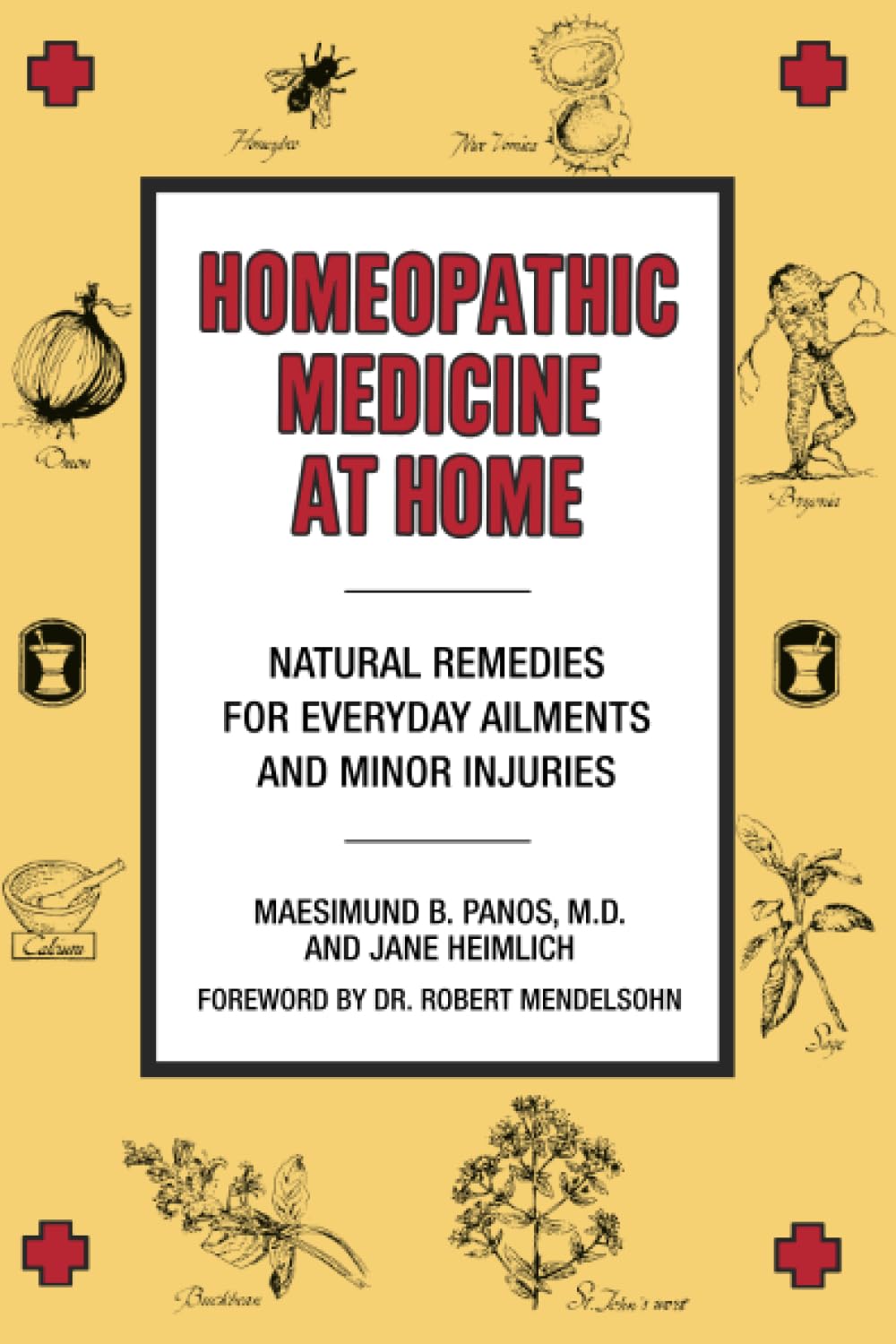 Homeopathic Medicine At Home: Natural Remedies for Everyday Ailments and Minor Injuries Medicine