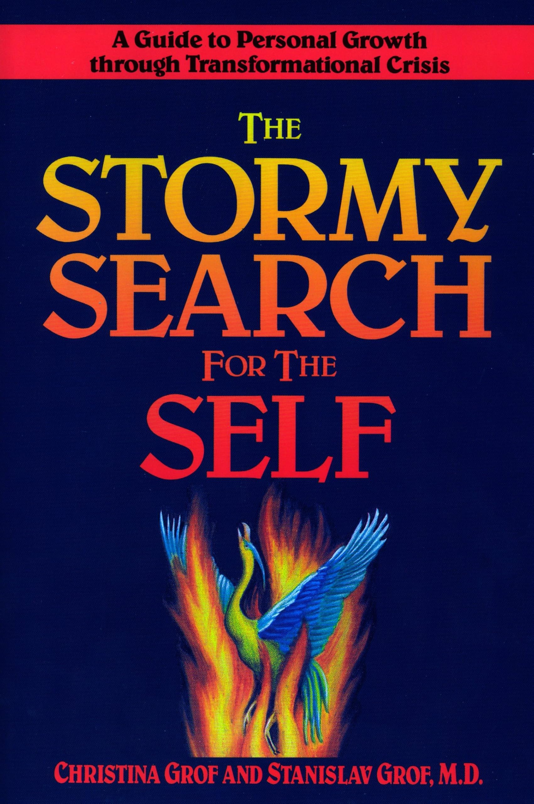 The Stormy Search for the Self Business, Finance & Career