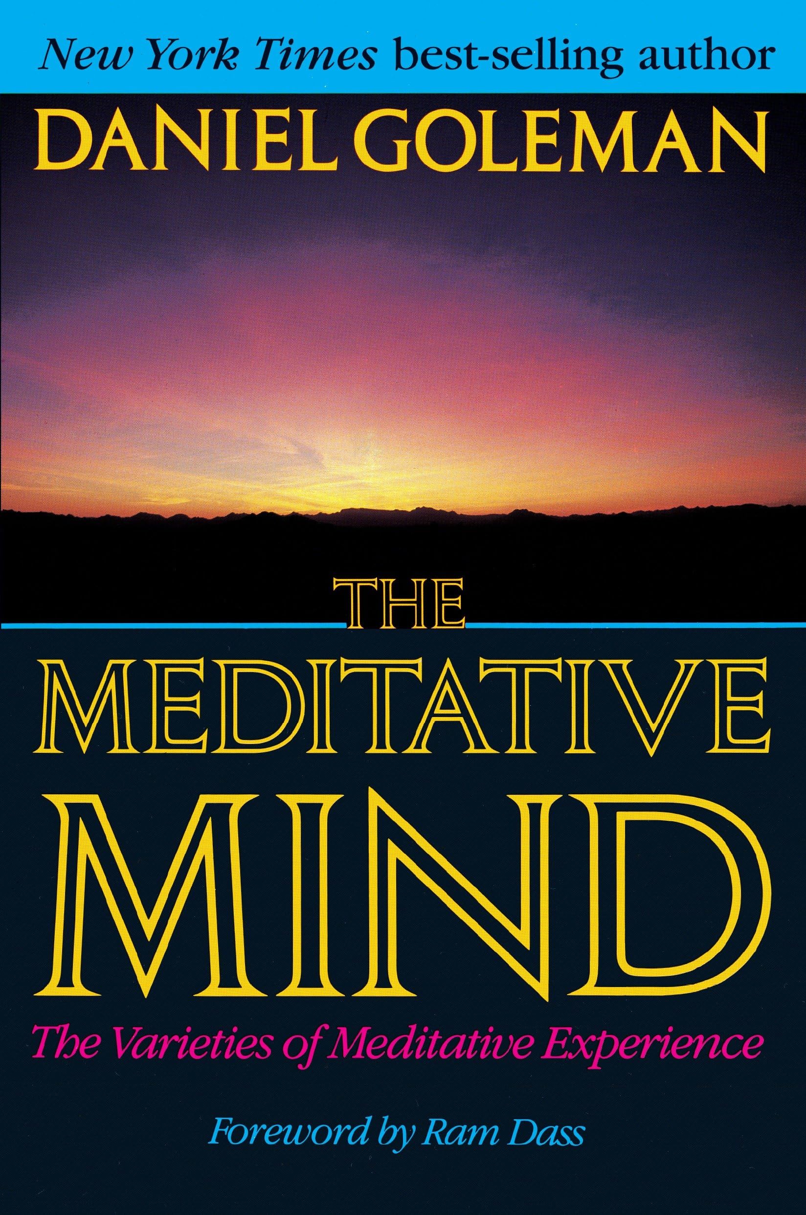 The Meditative Mind: The Varieties of Meditative Experience Philosophy