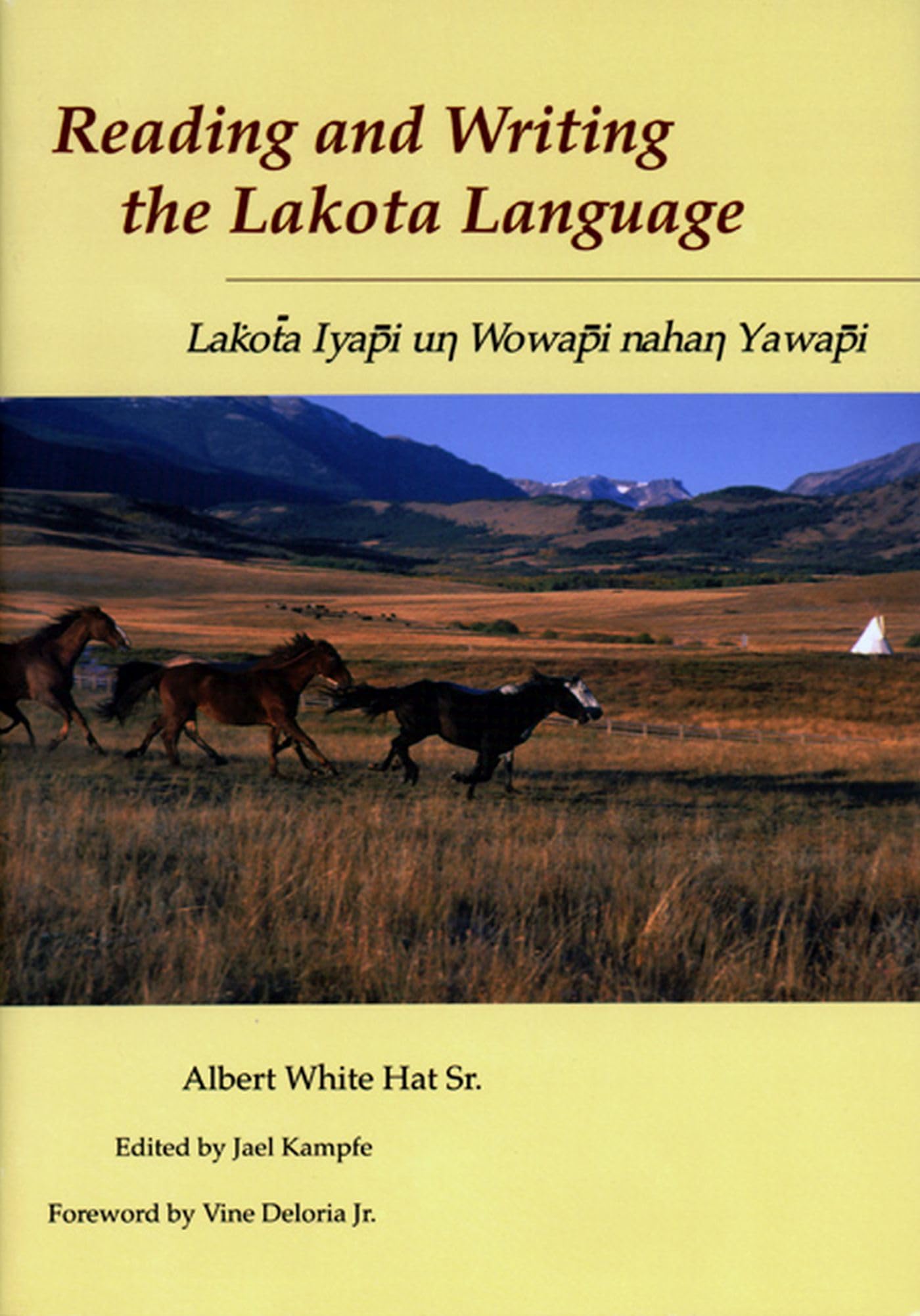 Reading and Writing Lakota Language Social Sciences
