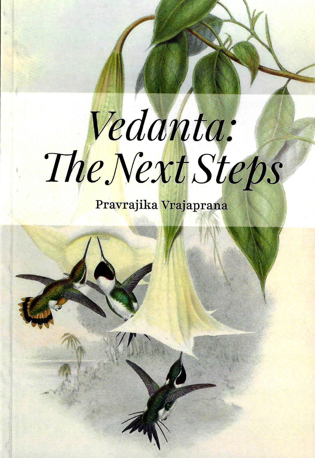 Vedanta: The Next Steps Religion & Esotericism