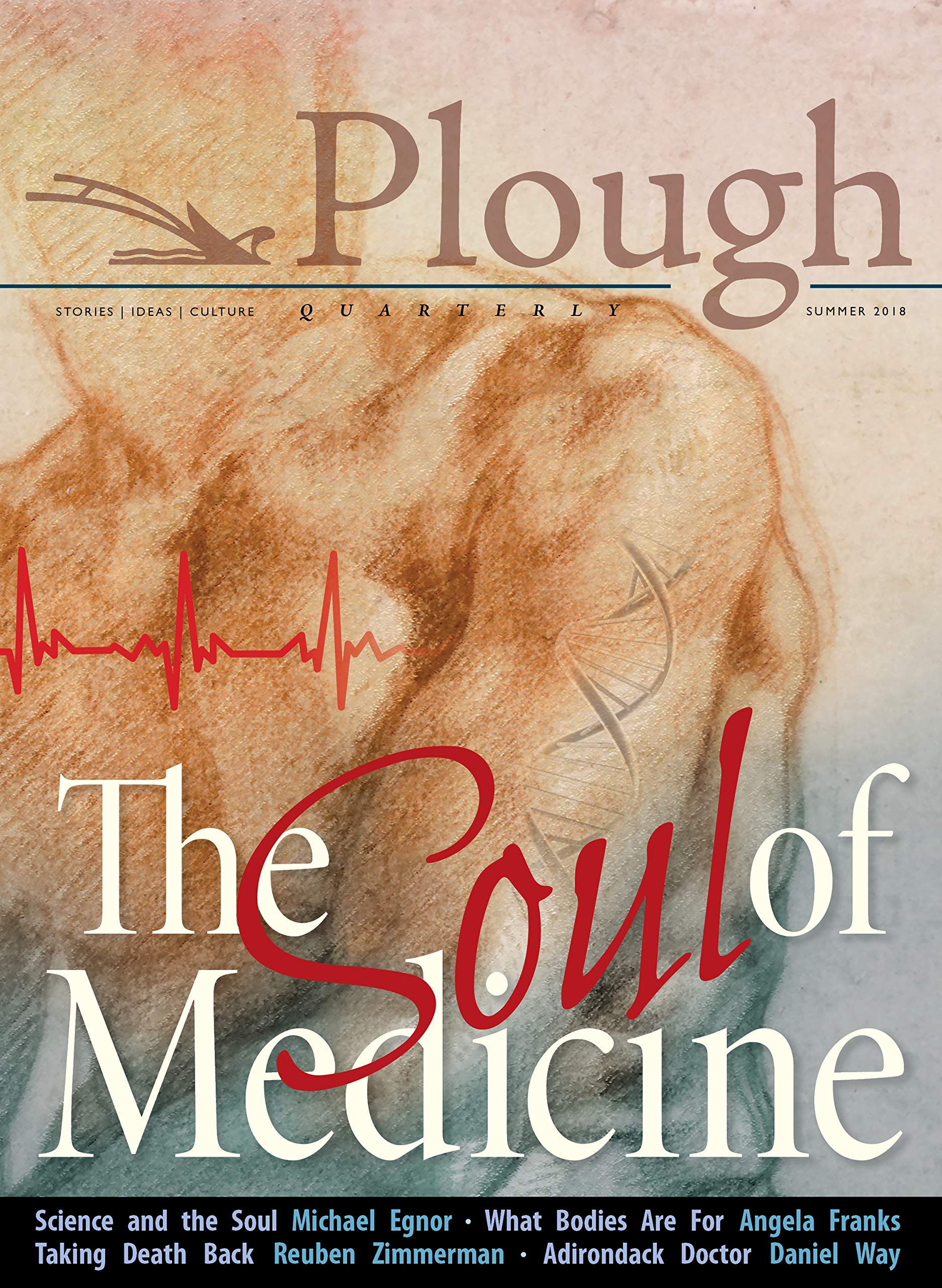Plough Quarterly No. 17- The Soul of Medicine (Plough Quarterly, 17, Band 17) Medicine