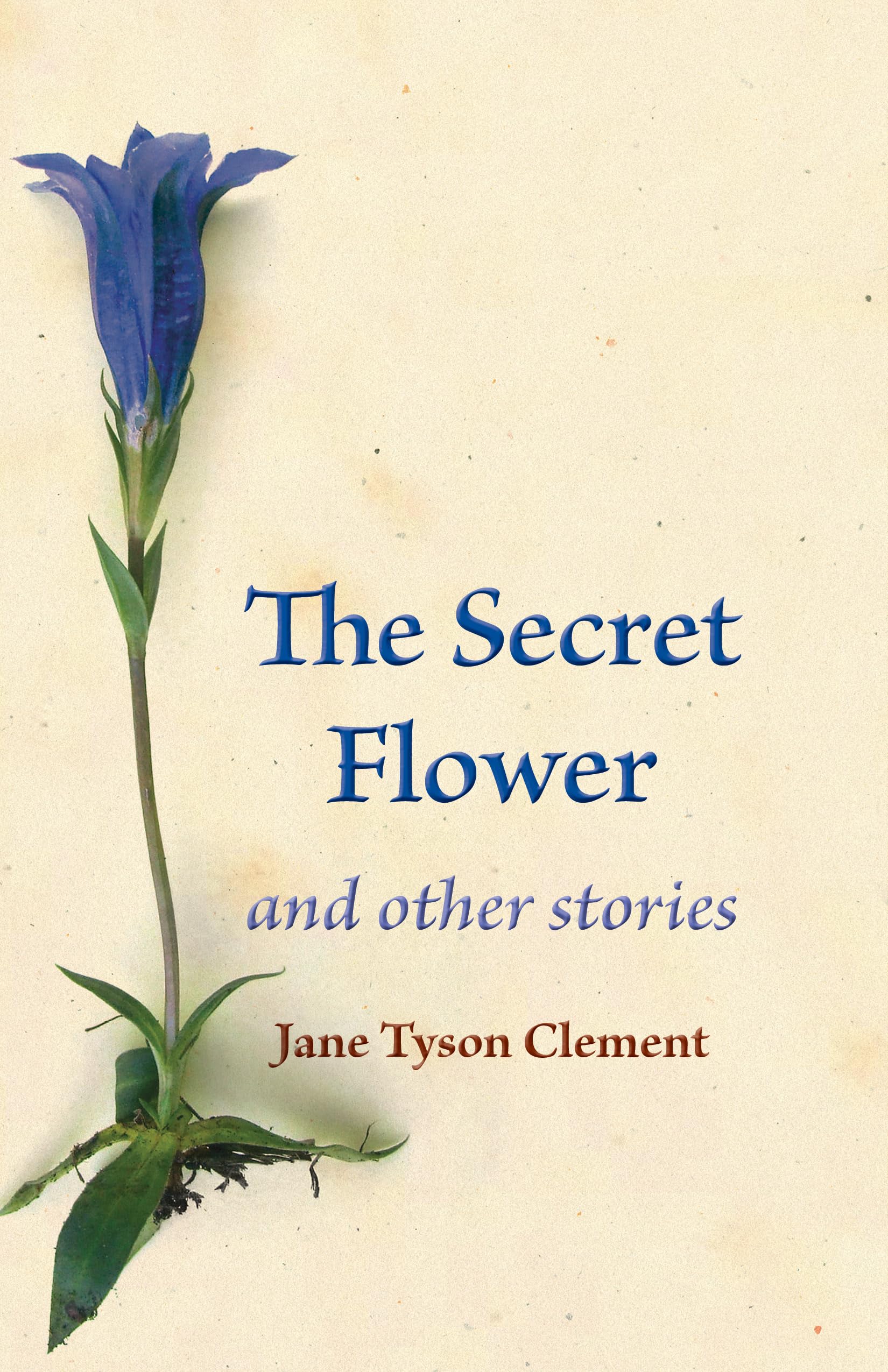 The Secret Flower: And Other Stories book
