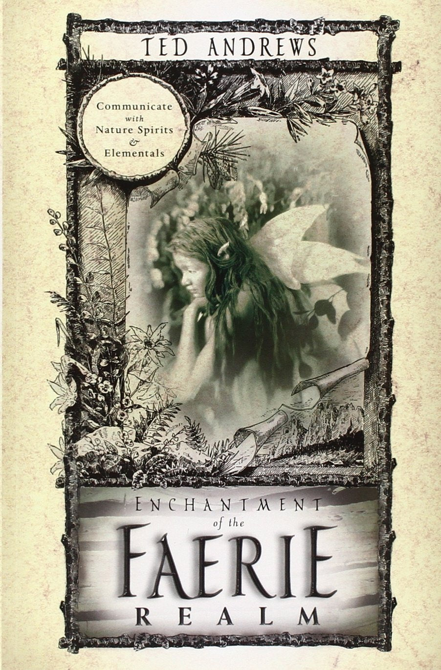 Enchantment of the Faerie Realm: Communicate with Nature Spirits & Elementals: Communicate With Nature Spirits and Elementals Books