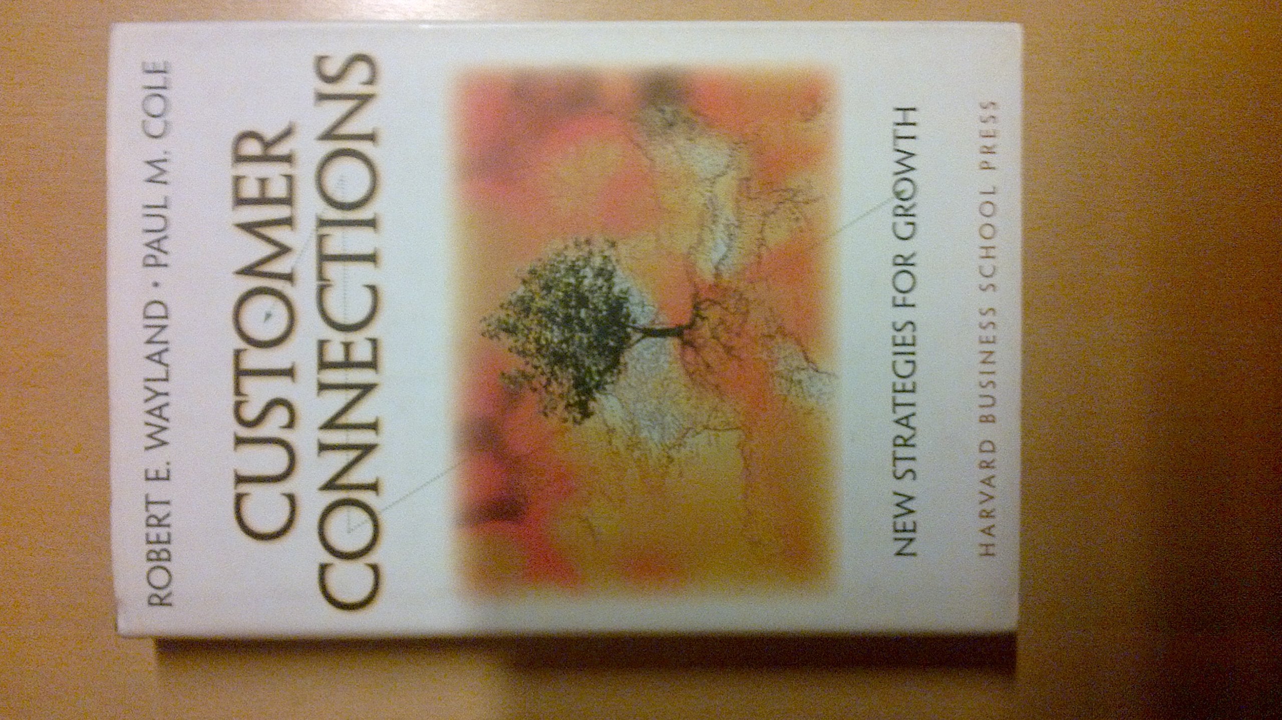Customer Connections: New Strategies for Growth Business, Finance & Career