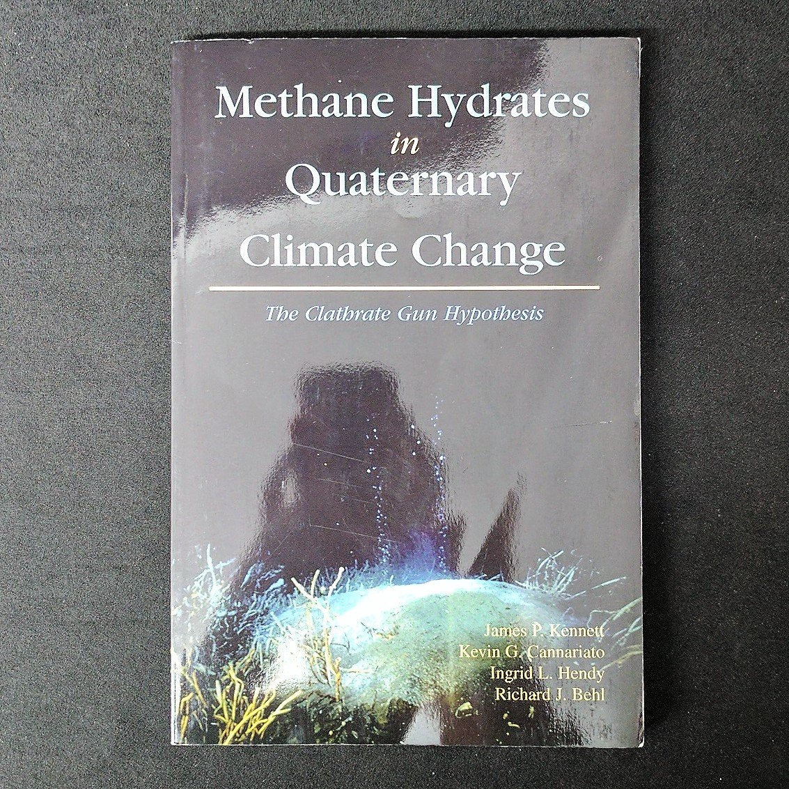 Methane Hydrates in Quaternary Climate Change: The Clathrate Gun Hypothesis (Special Publications) Geology & Geography