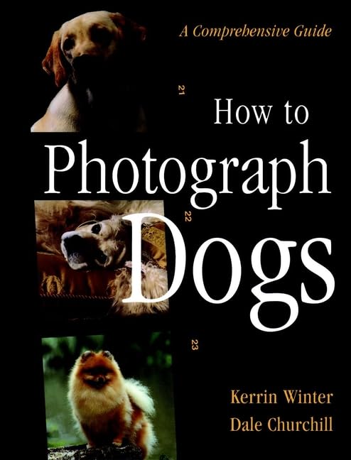 How to Photograph Dogs: A Comprehensive Guide Pets