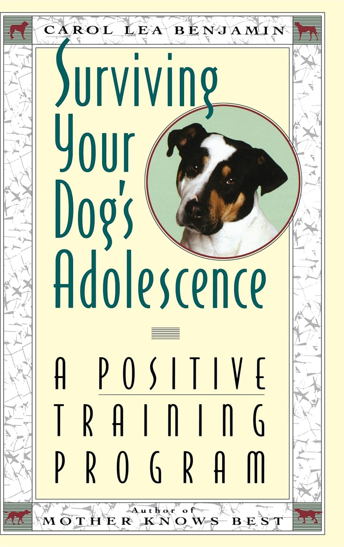 Surviving Your Dog's Adolescence Mathematics