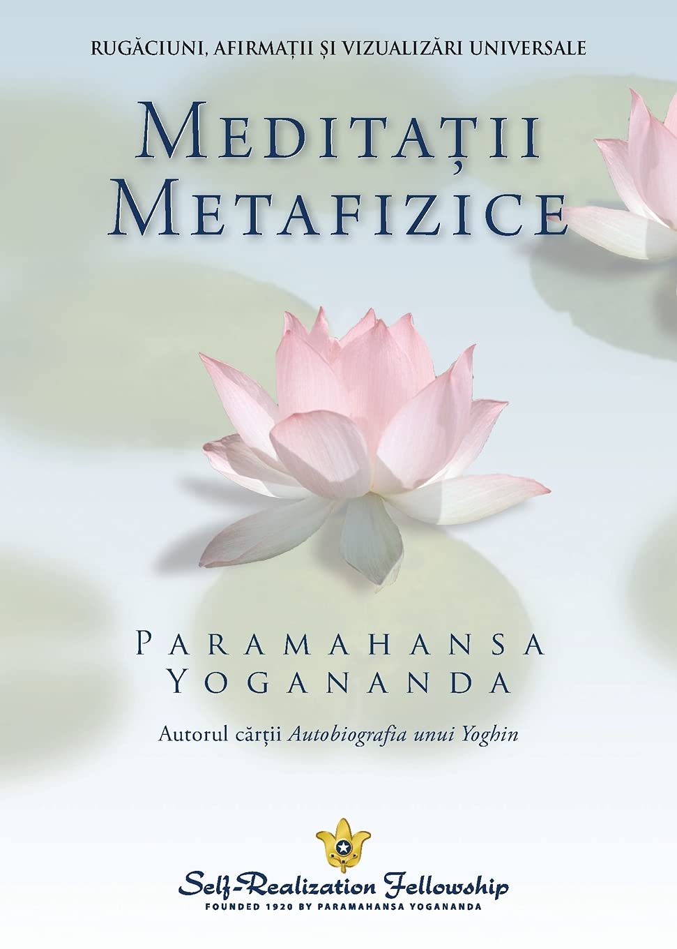 Metaphysical Meditations (Romanian) book