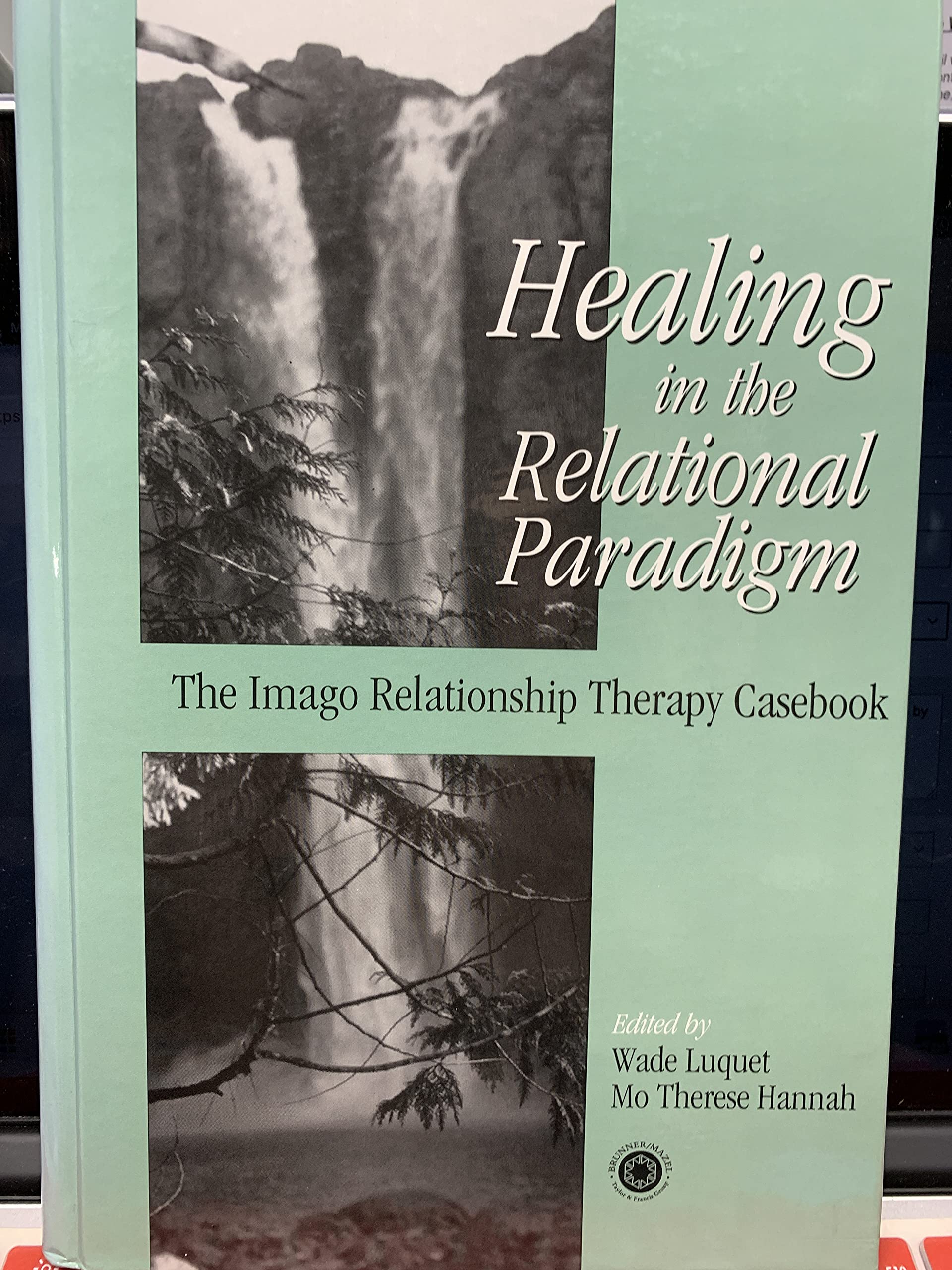 Healing in the Relational Paradigm: The Imago Relationship Therapy Casebook Business & Technology
