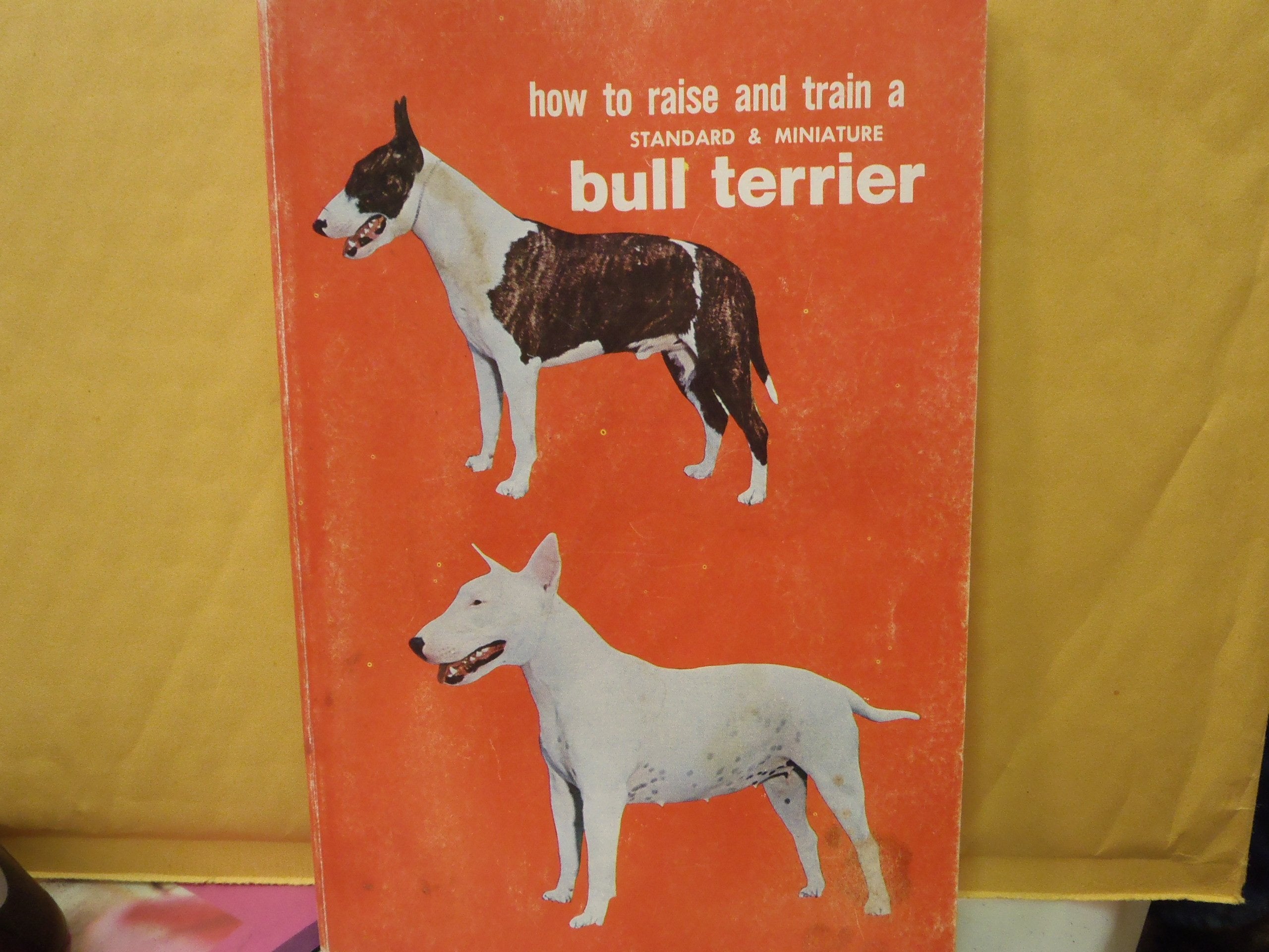 Bull Terrier (How to Raise & Train S.) Pets
