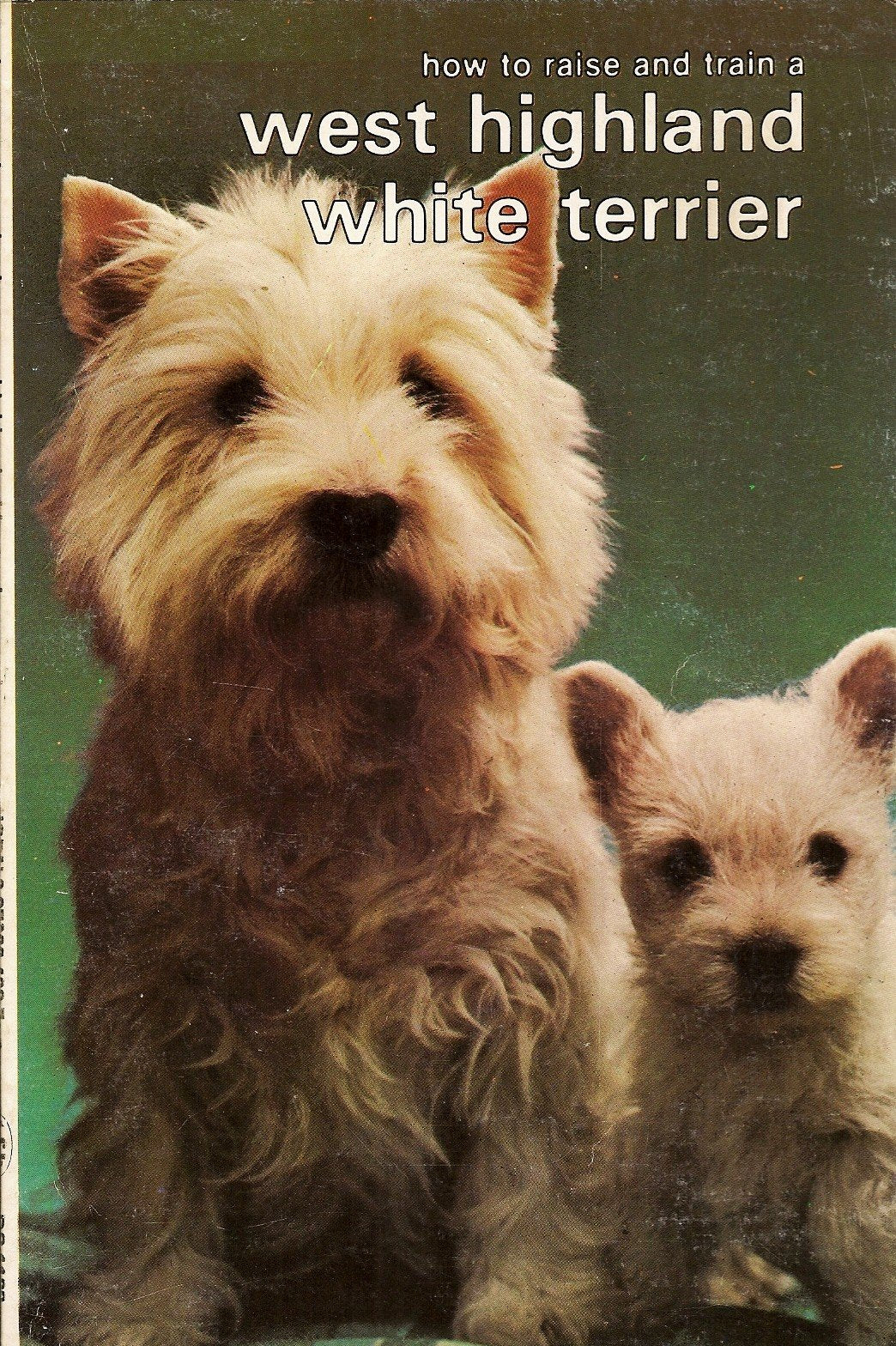 How to Raise and Train a West Highland White Terrier (How to Raise & Train S.) Pets