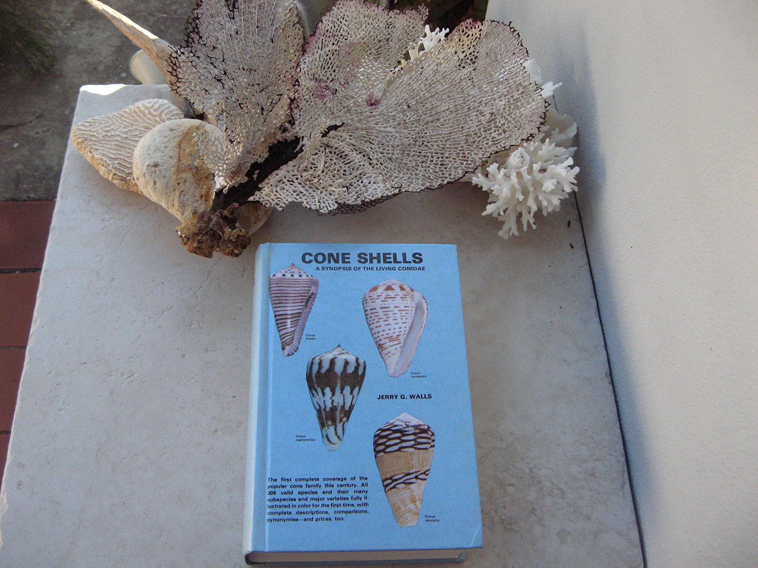 Cone Shells: A Synopsis of the Living Conidae Natural Sciences