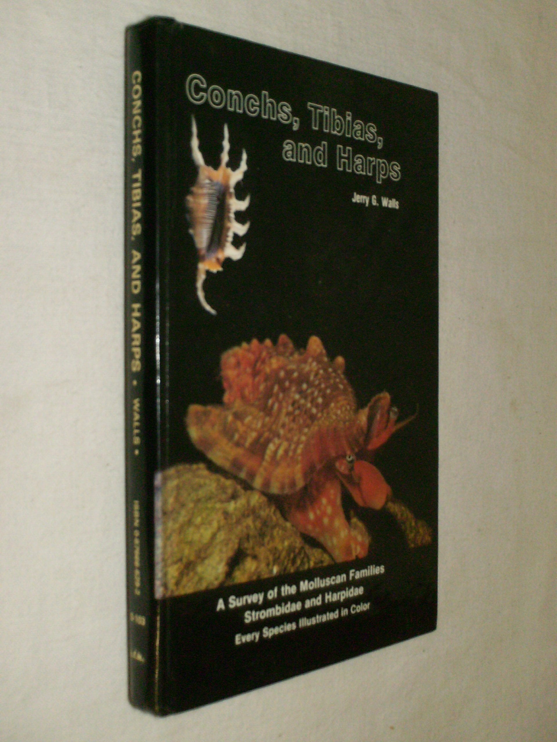 Conchs, Tibias, and Harps Medicine