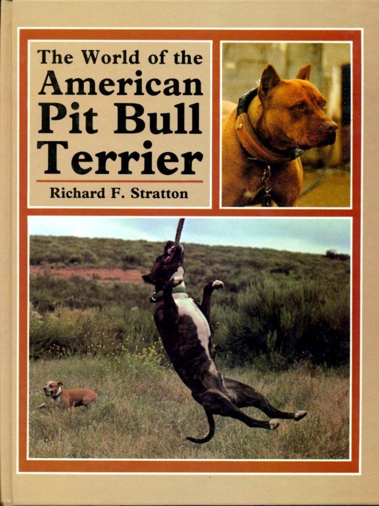 World of American Pit Bull Terrier Pets