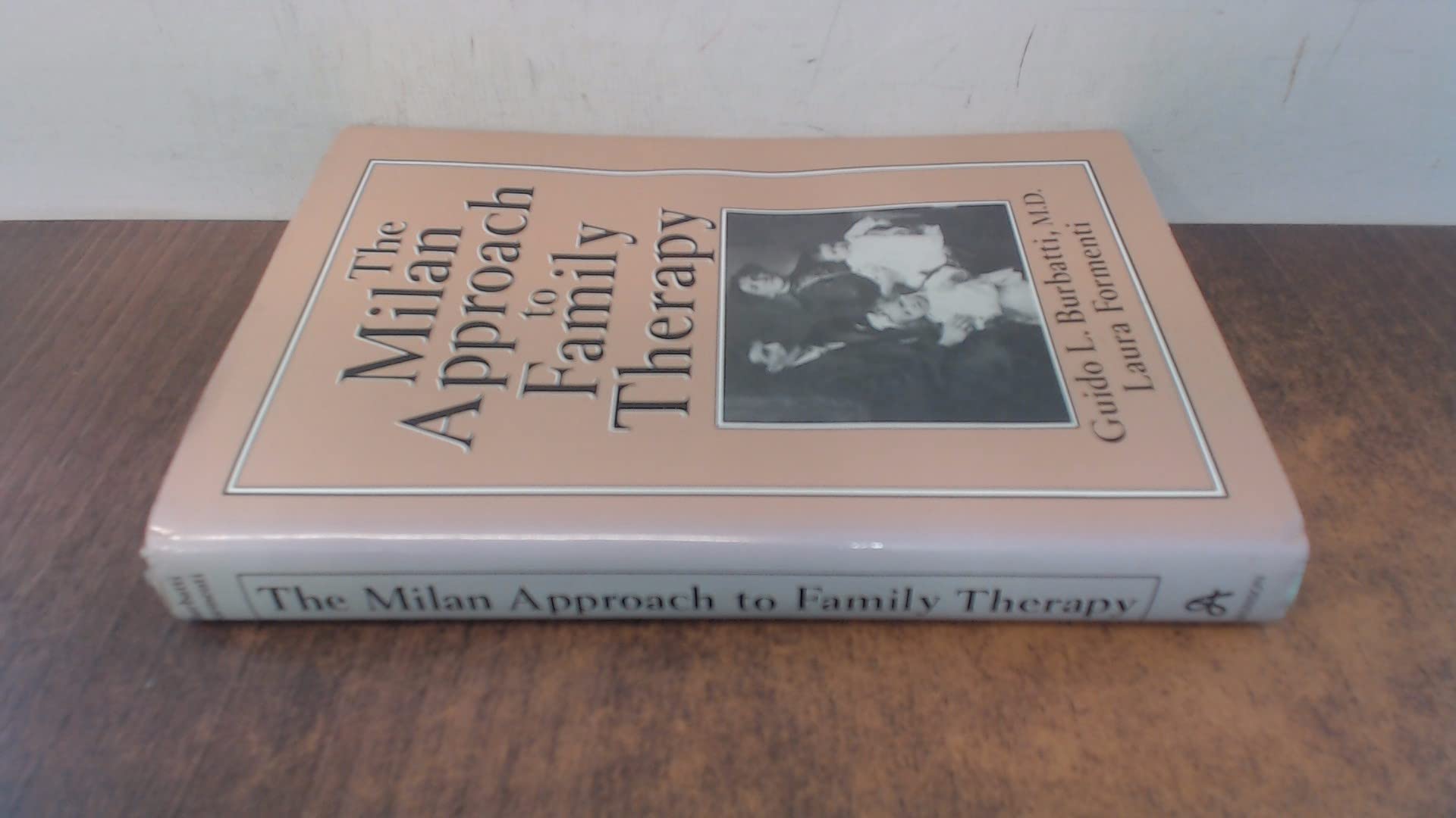 Milan Approach to Family Thera book