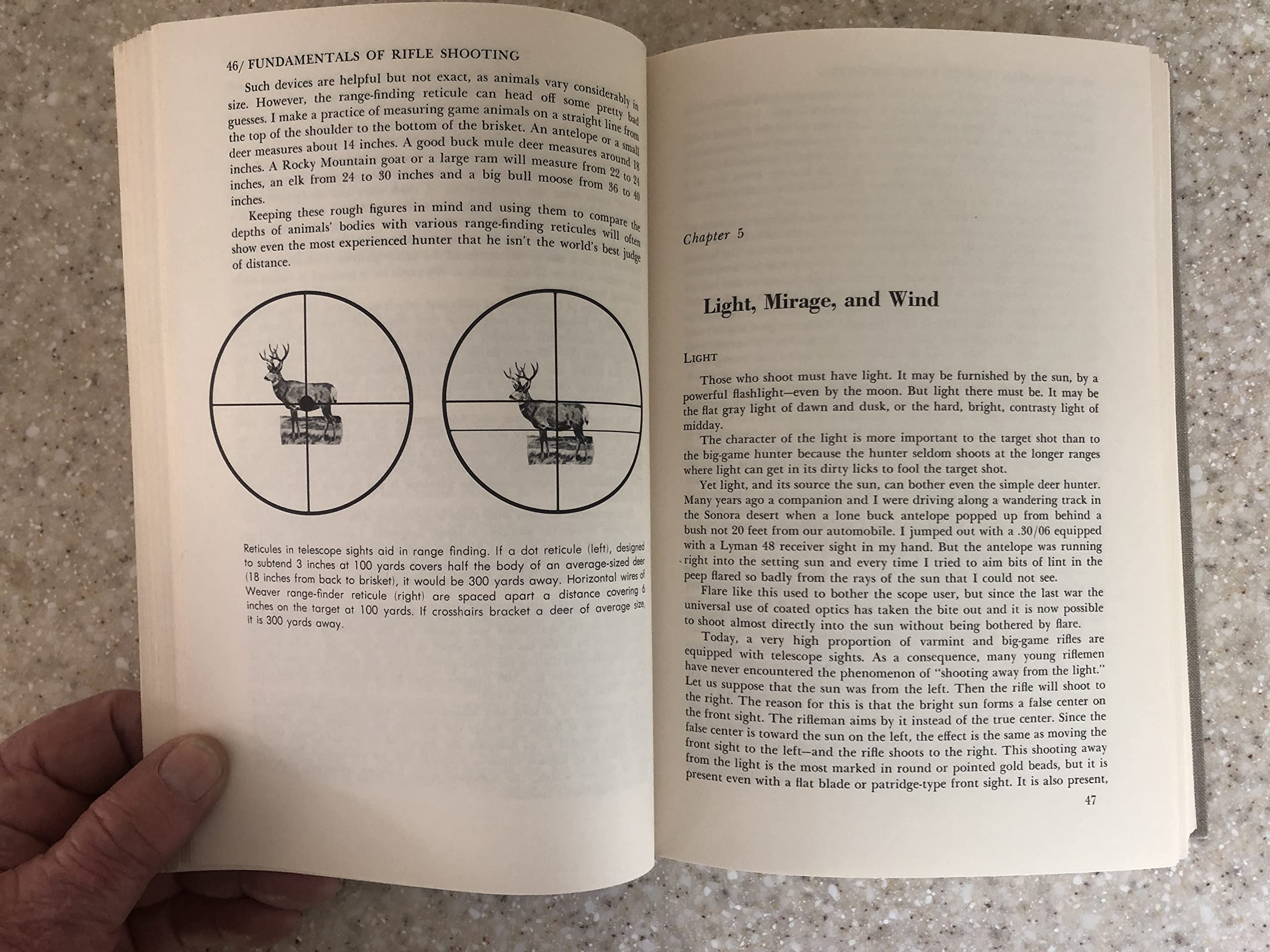 Sheep and Sheep Hunting: The Definitive Book on Wild Sheep Leisure & Fun